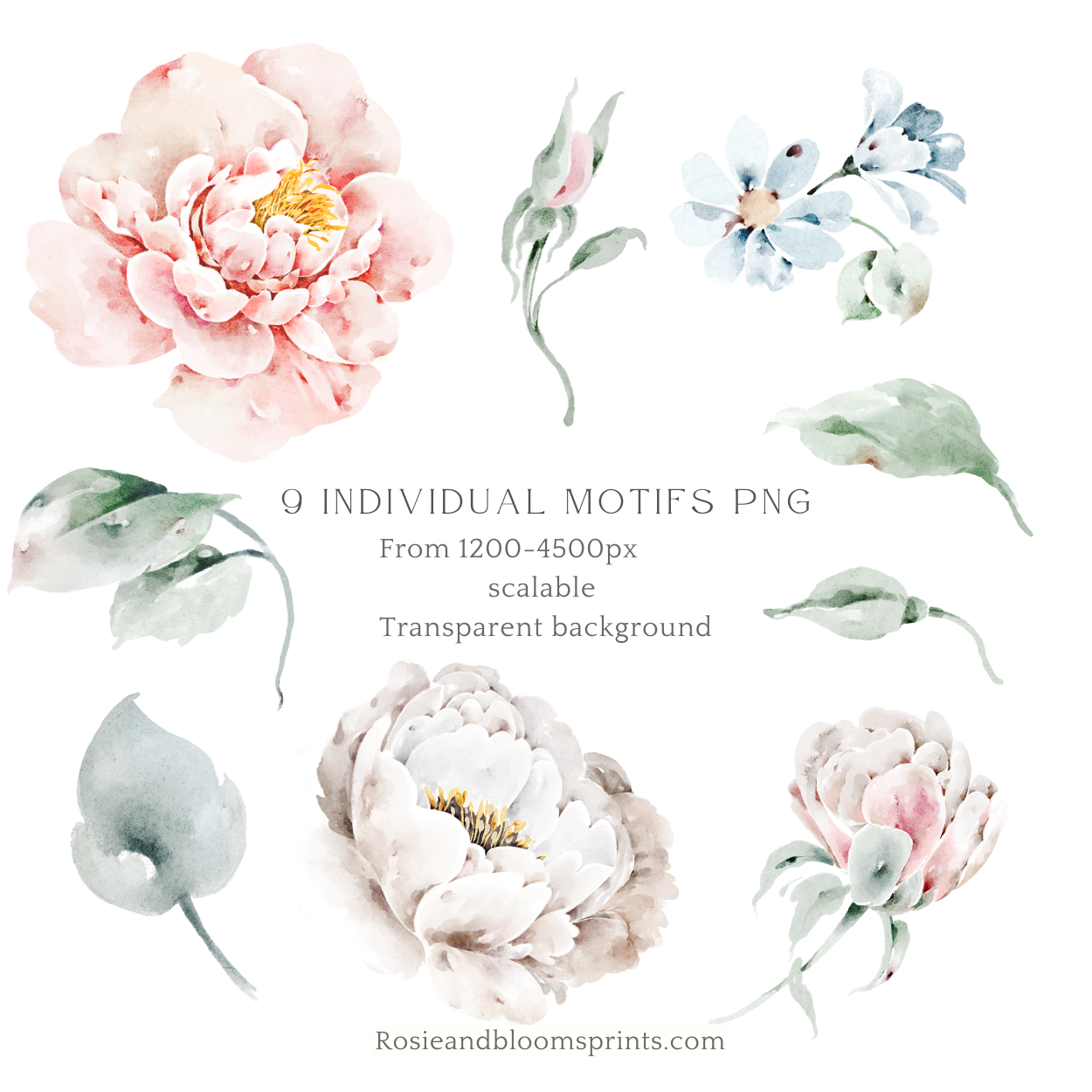 Peony Seamless pattern