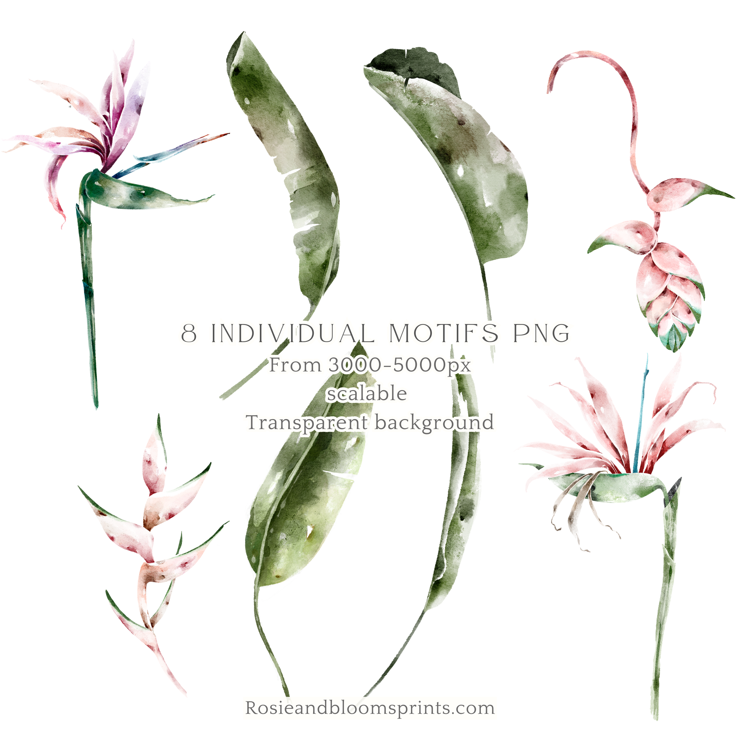 Tropical Plants Seamless Pattern