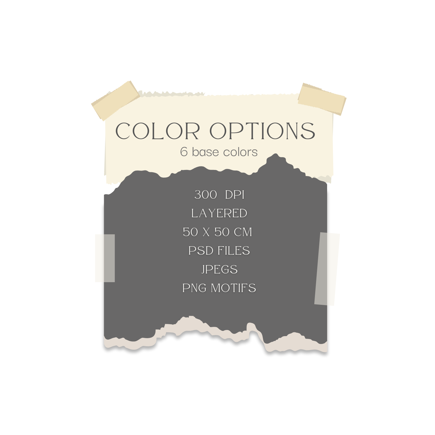 Palm Leaves Seamless Pattern 