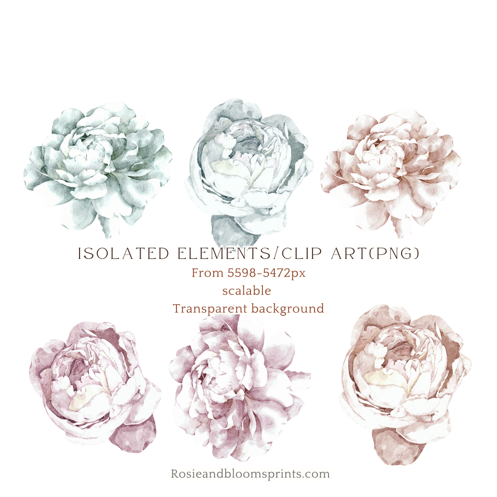 Soft Peony Seamless Pattern 