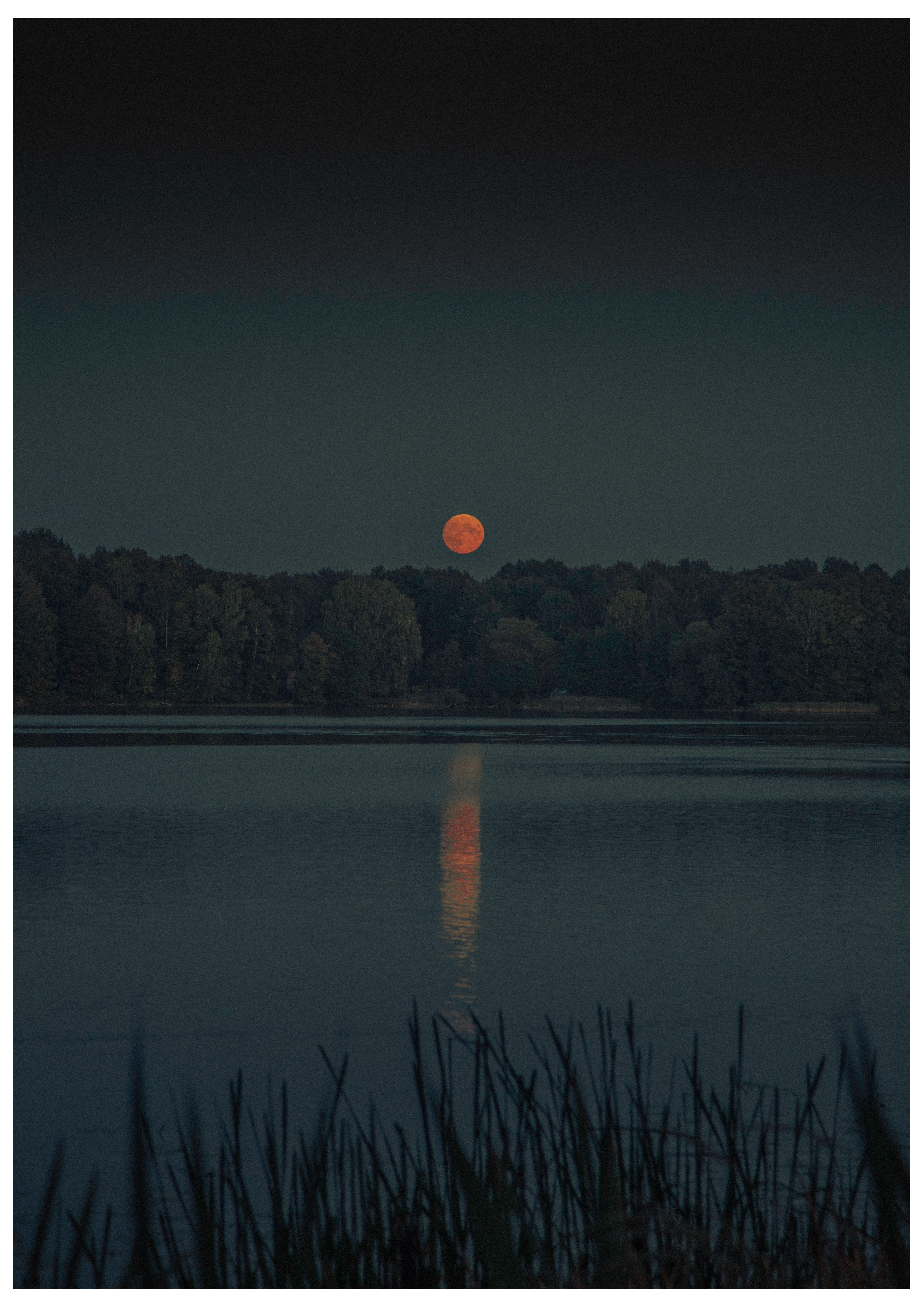 Red moon