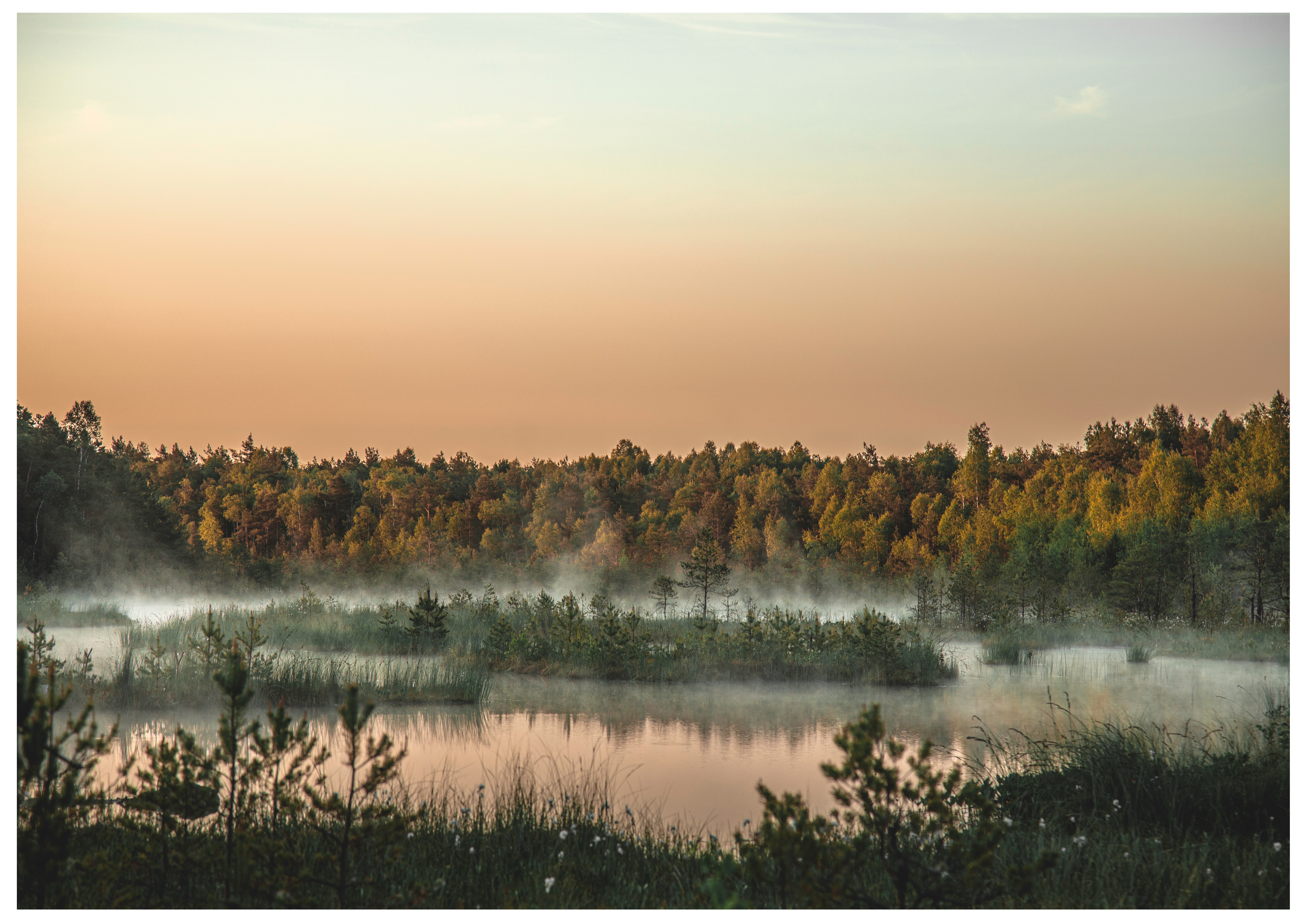 Morning mist
