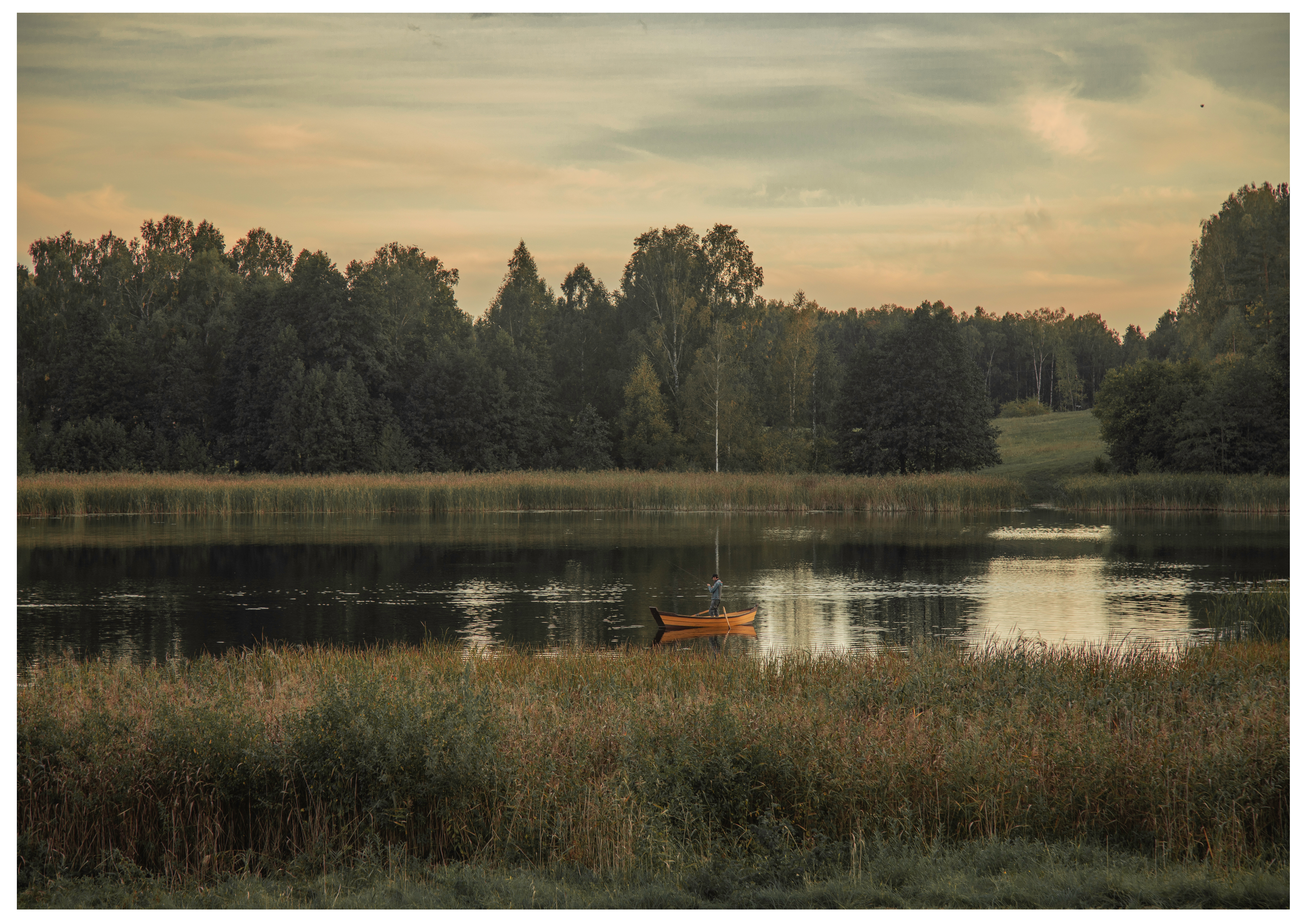 Summer evening