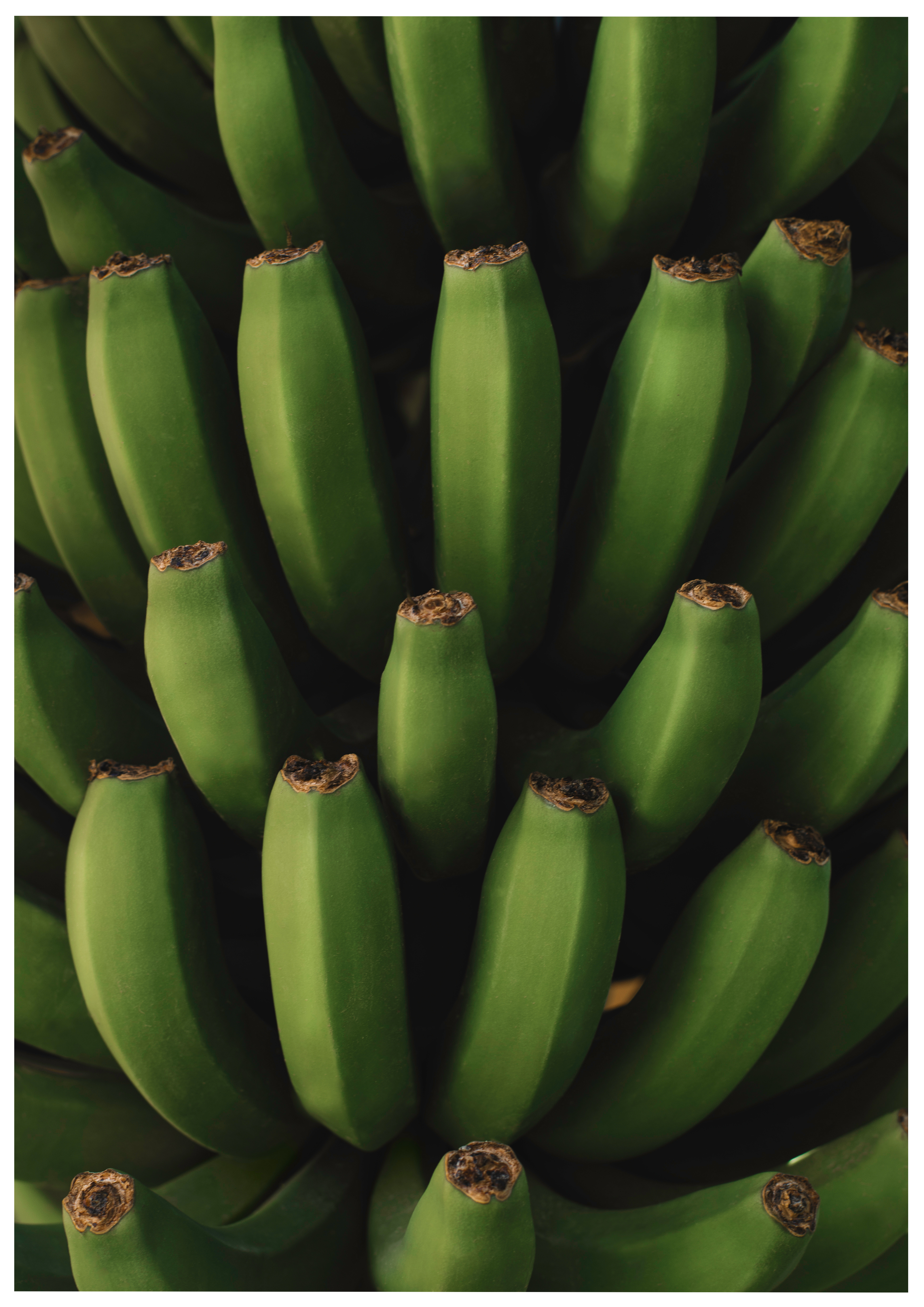 Bananas