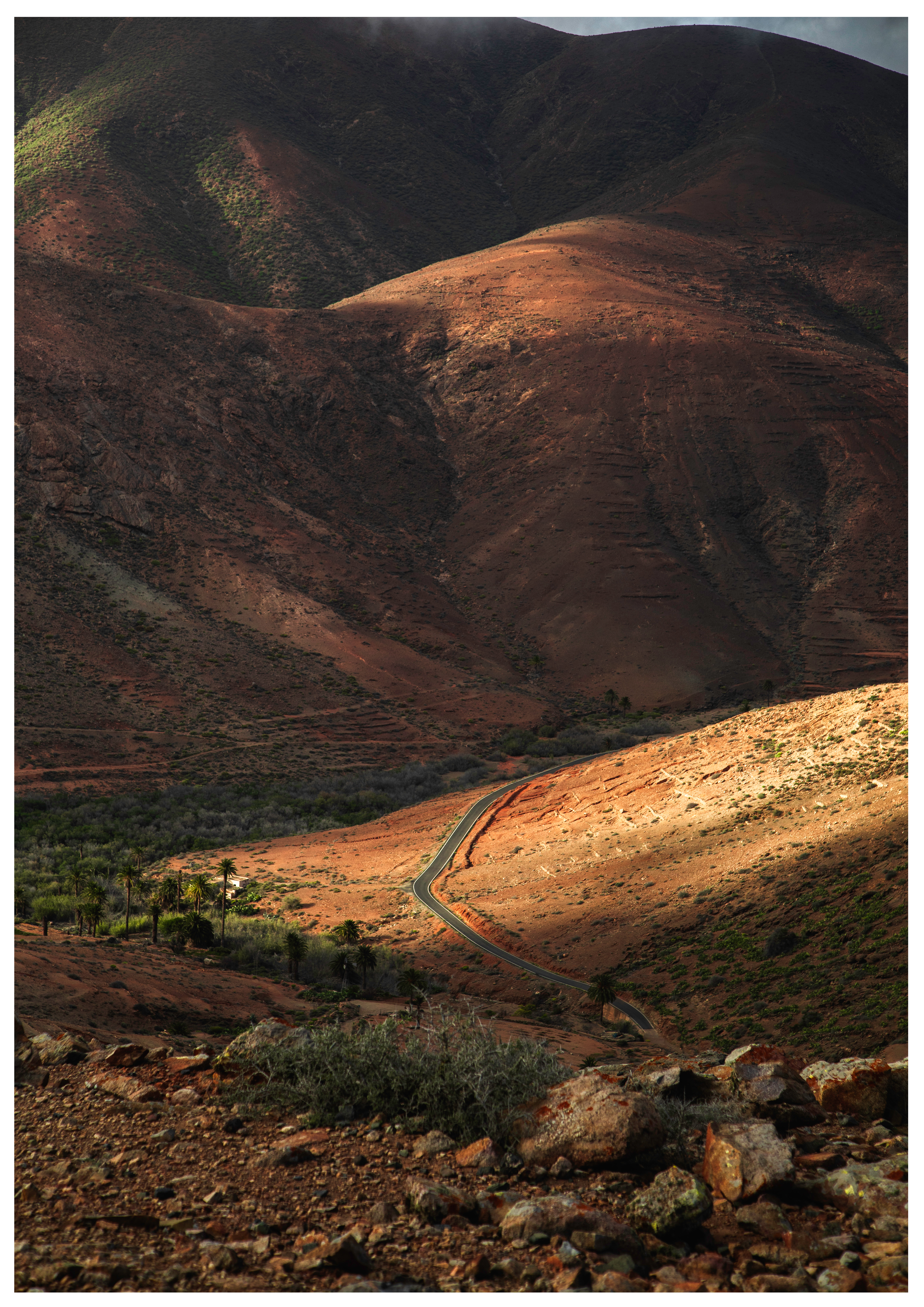 Sunny road