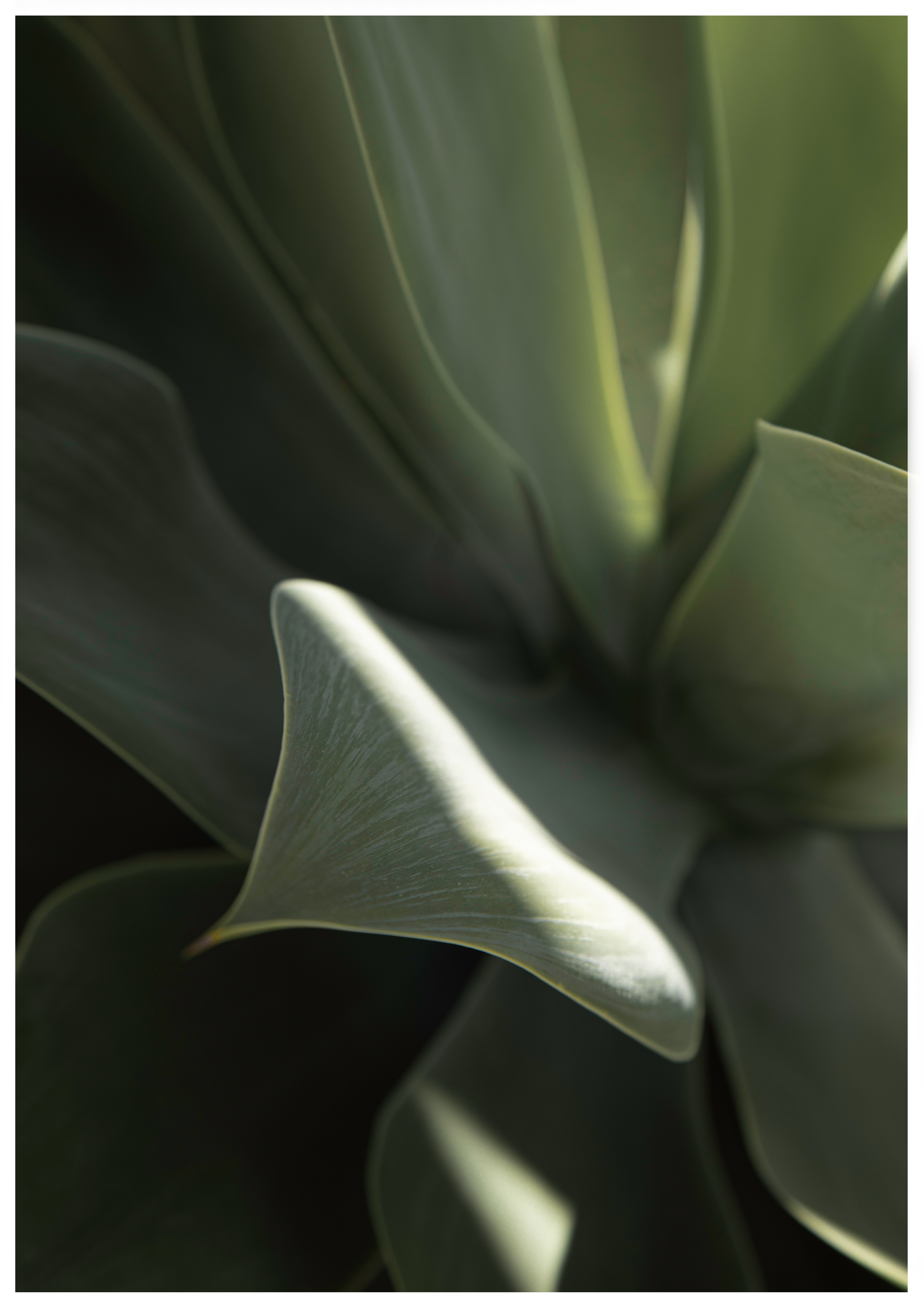 Sun touch