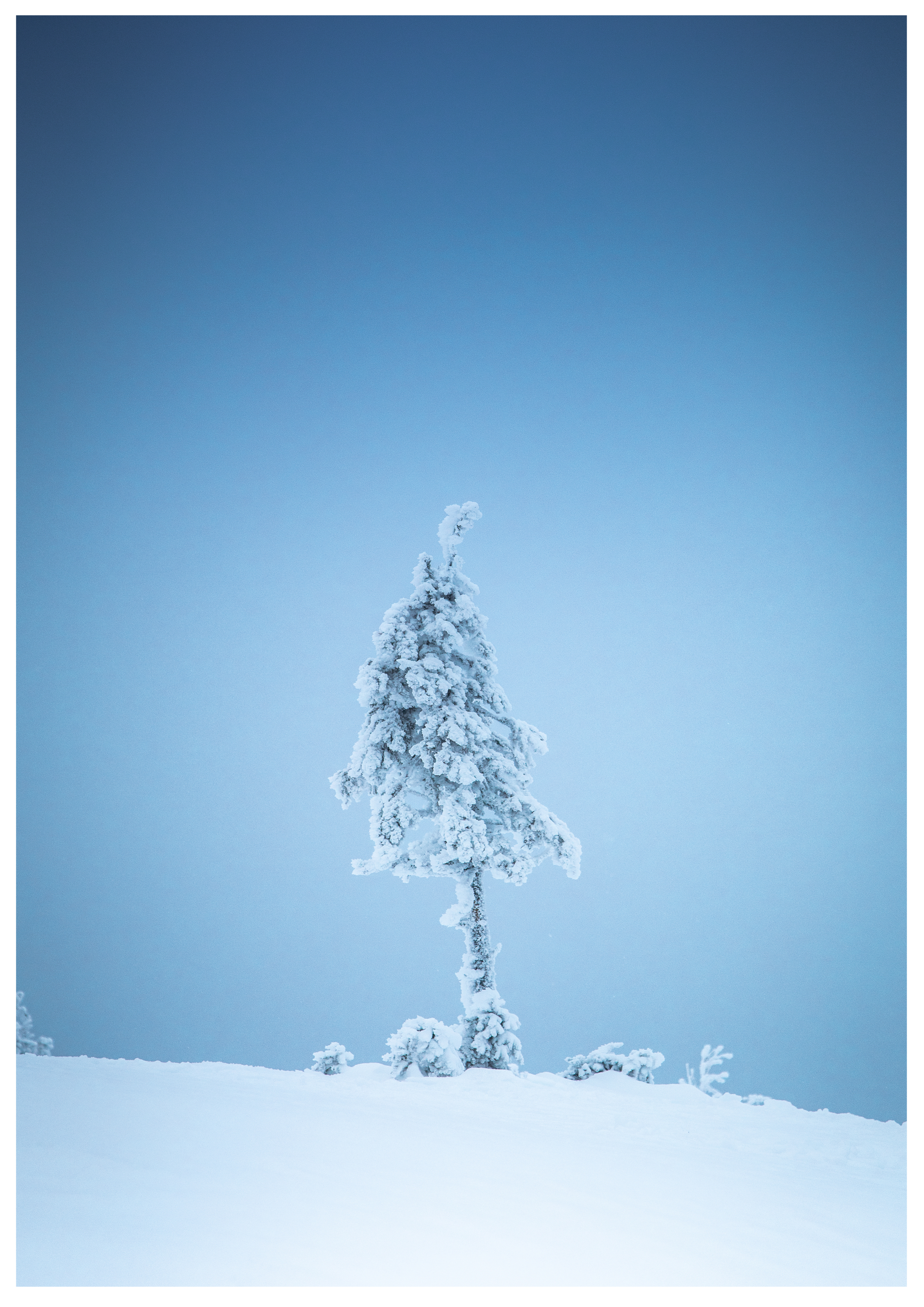 Frozen
