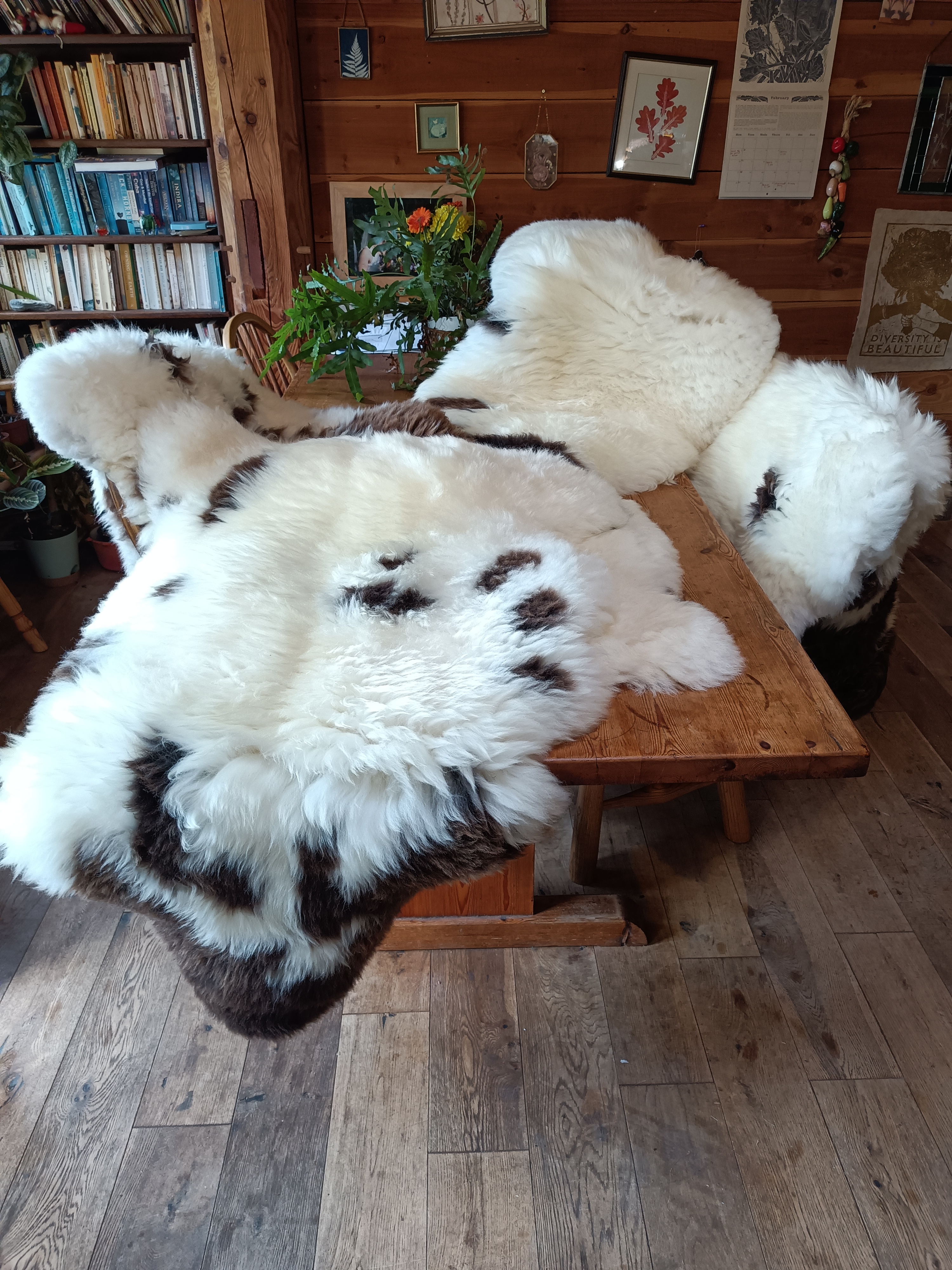 Sheepskins