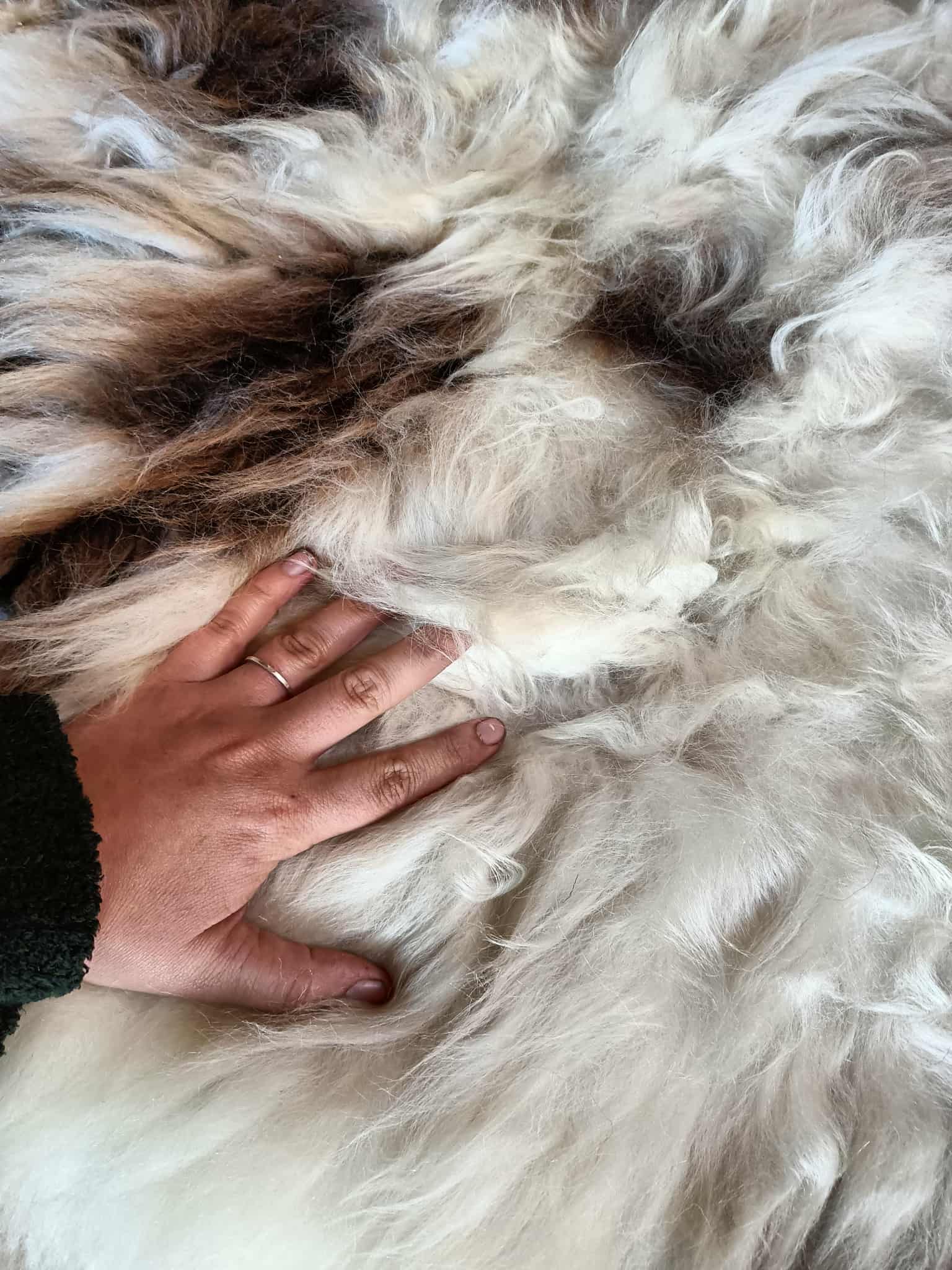 Sheepskins