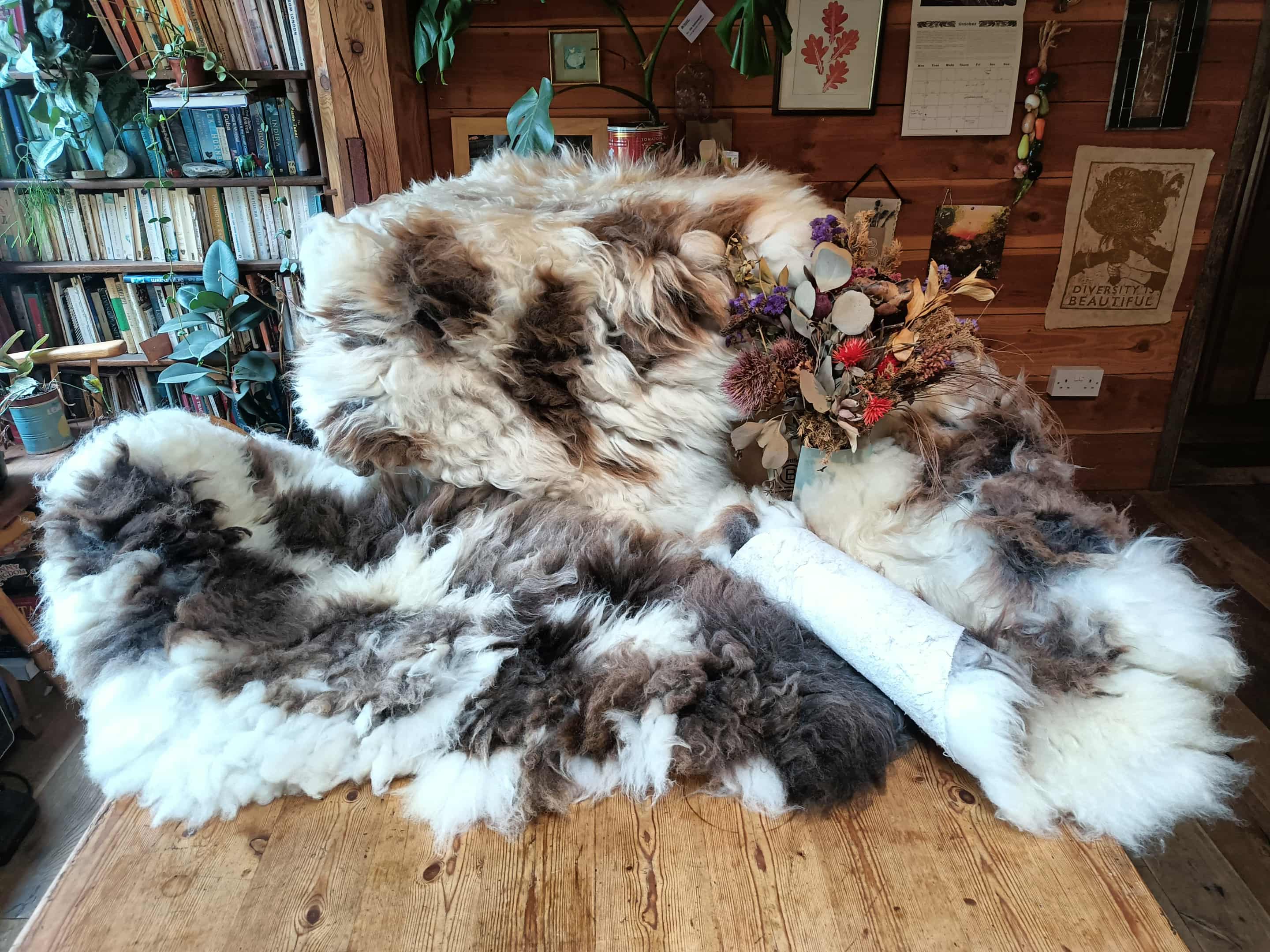 Sheepskins
