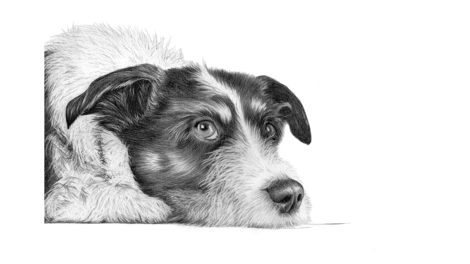 MUTTLEY
