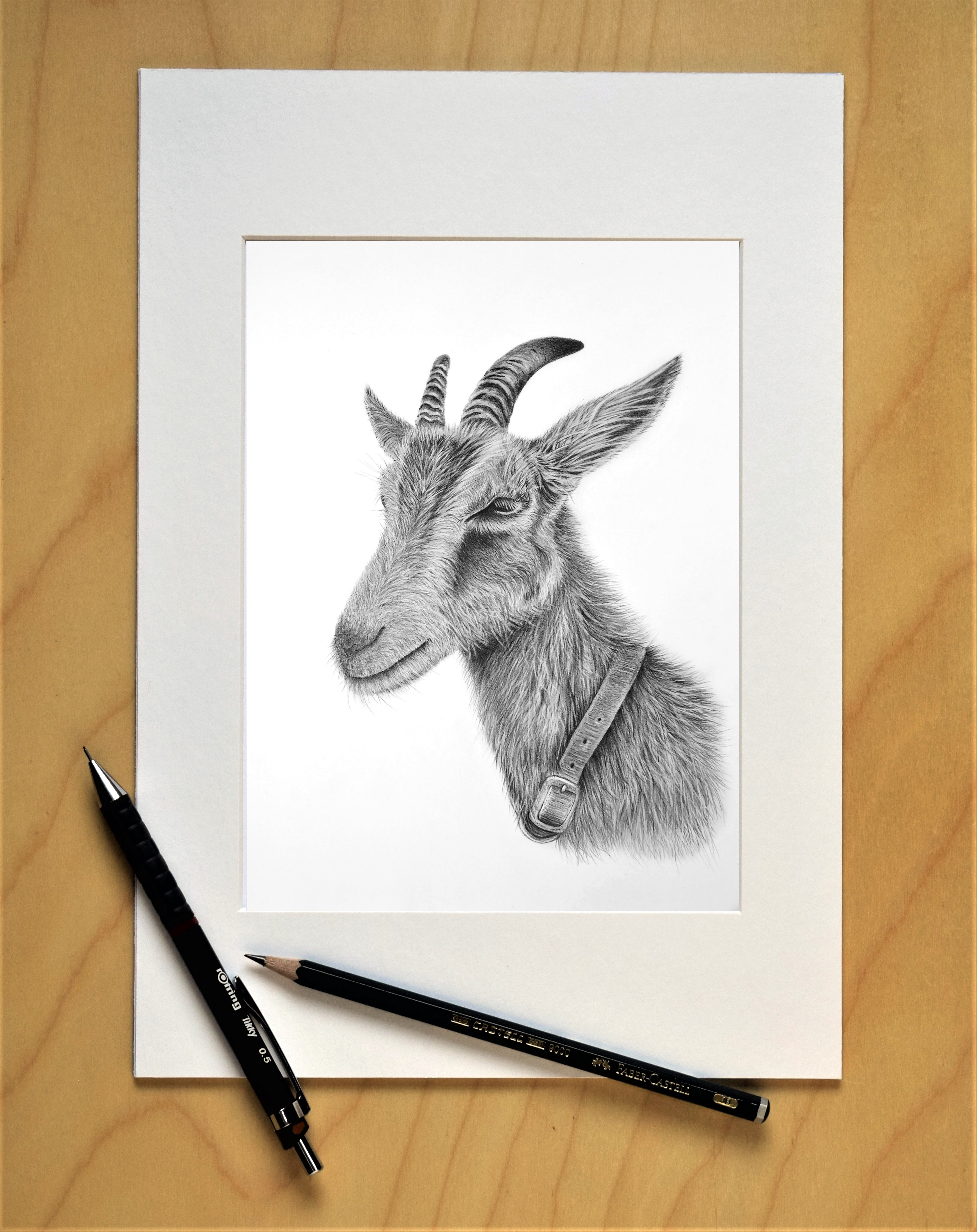 GET YOUR GOAT