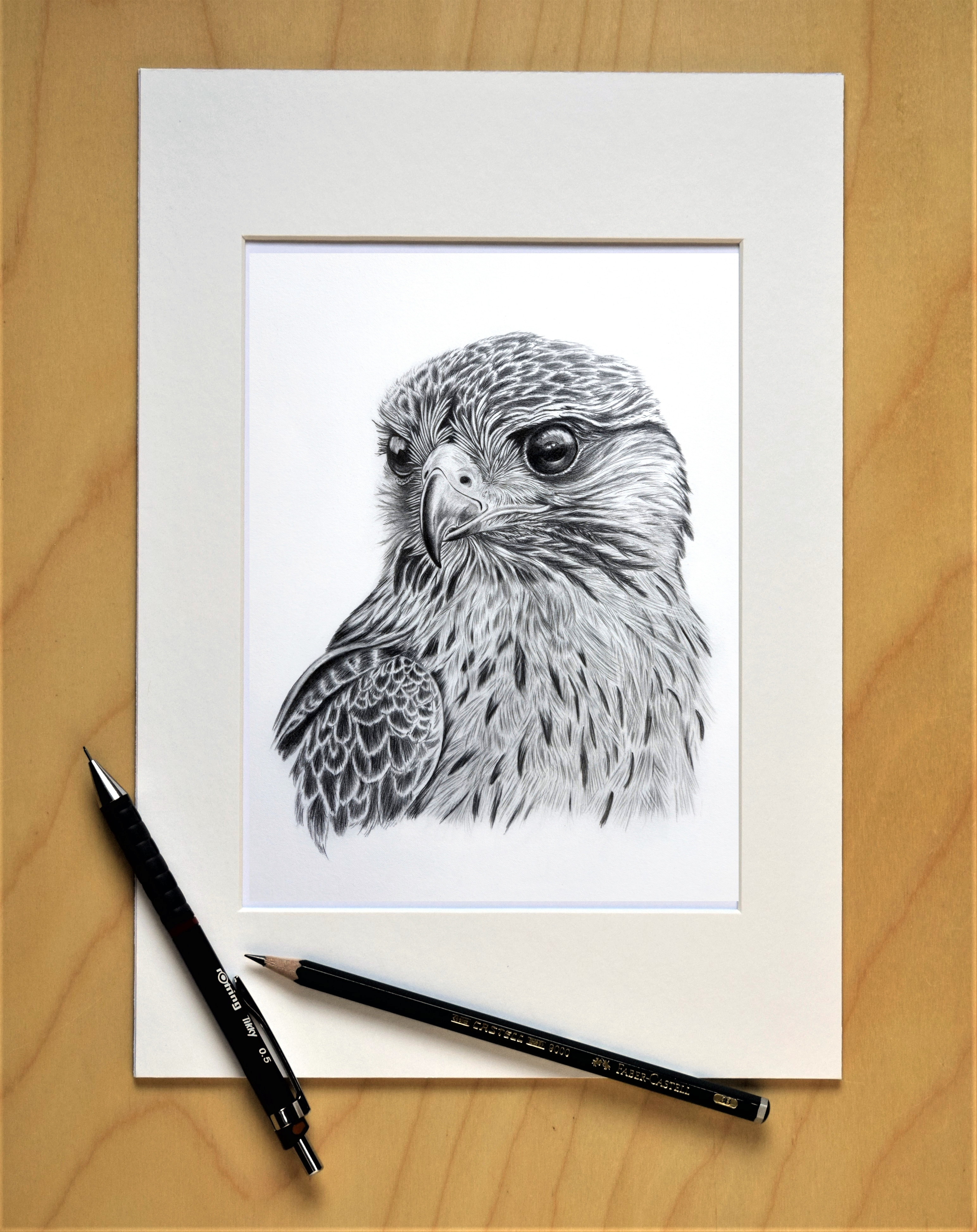 FALCON