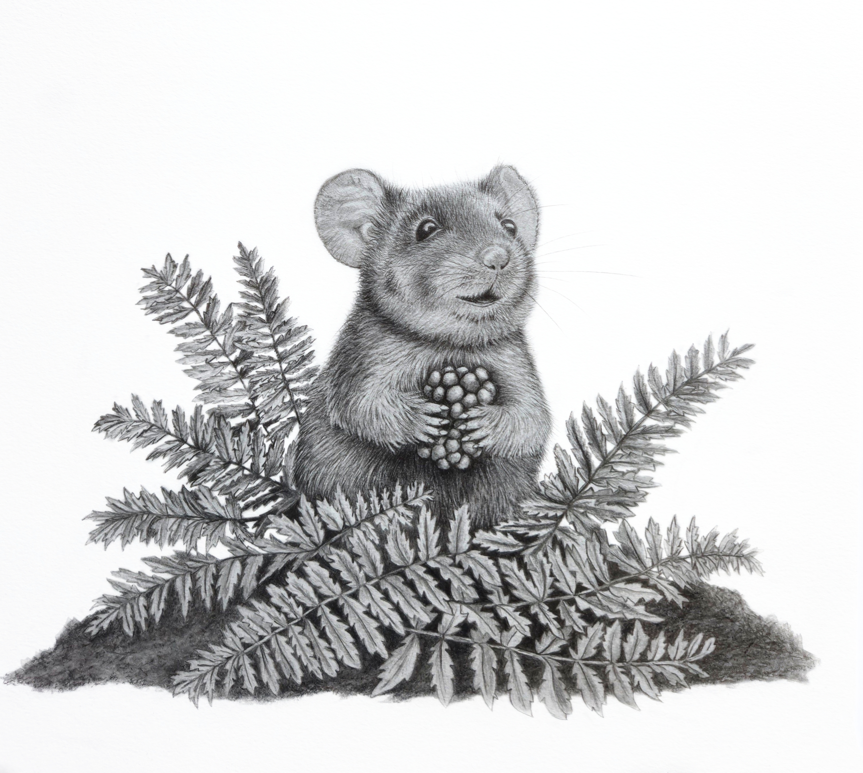 WHISKERS MOUSE