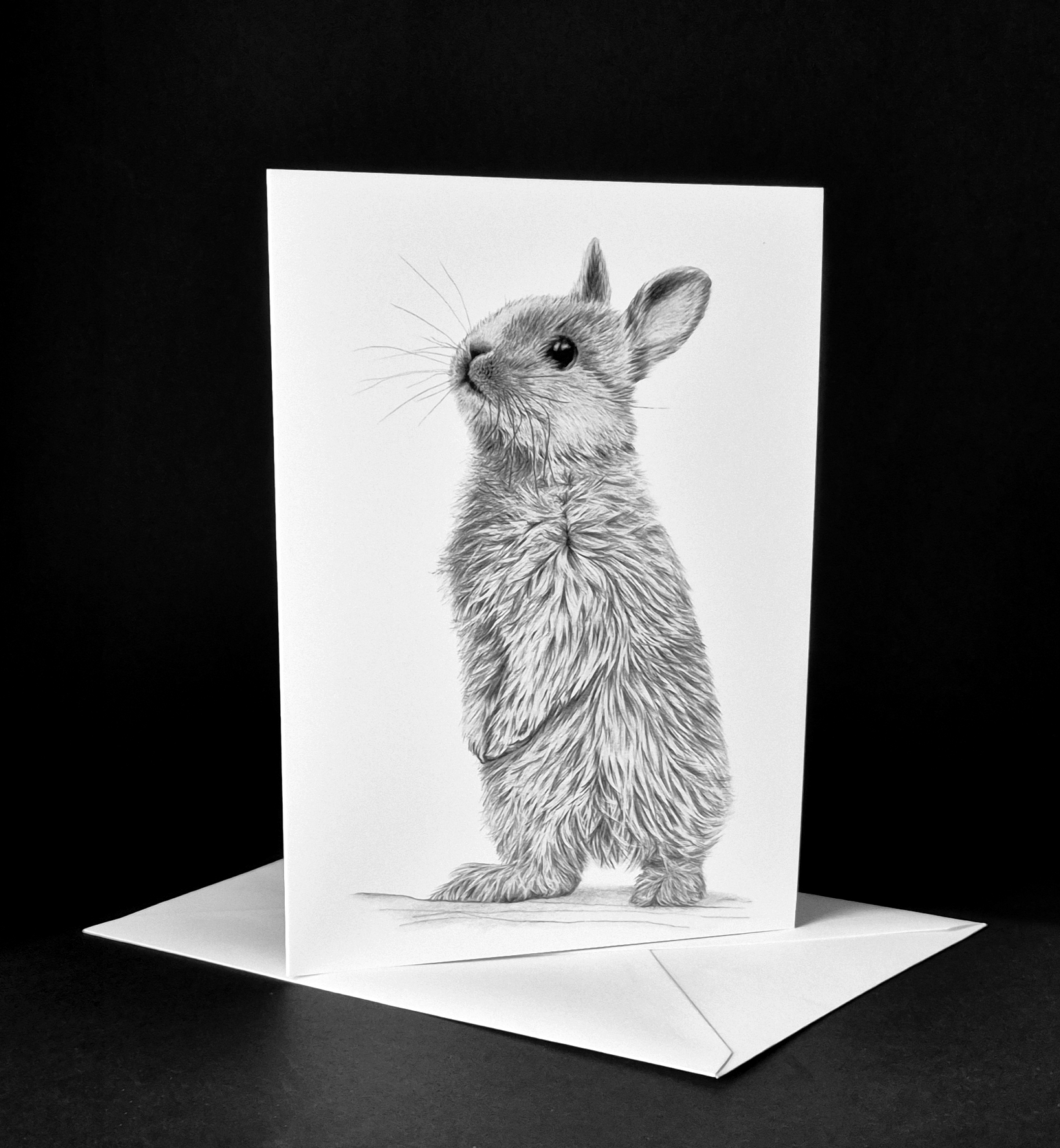 BUNNYKINS