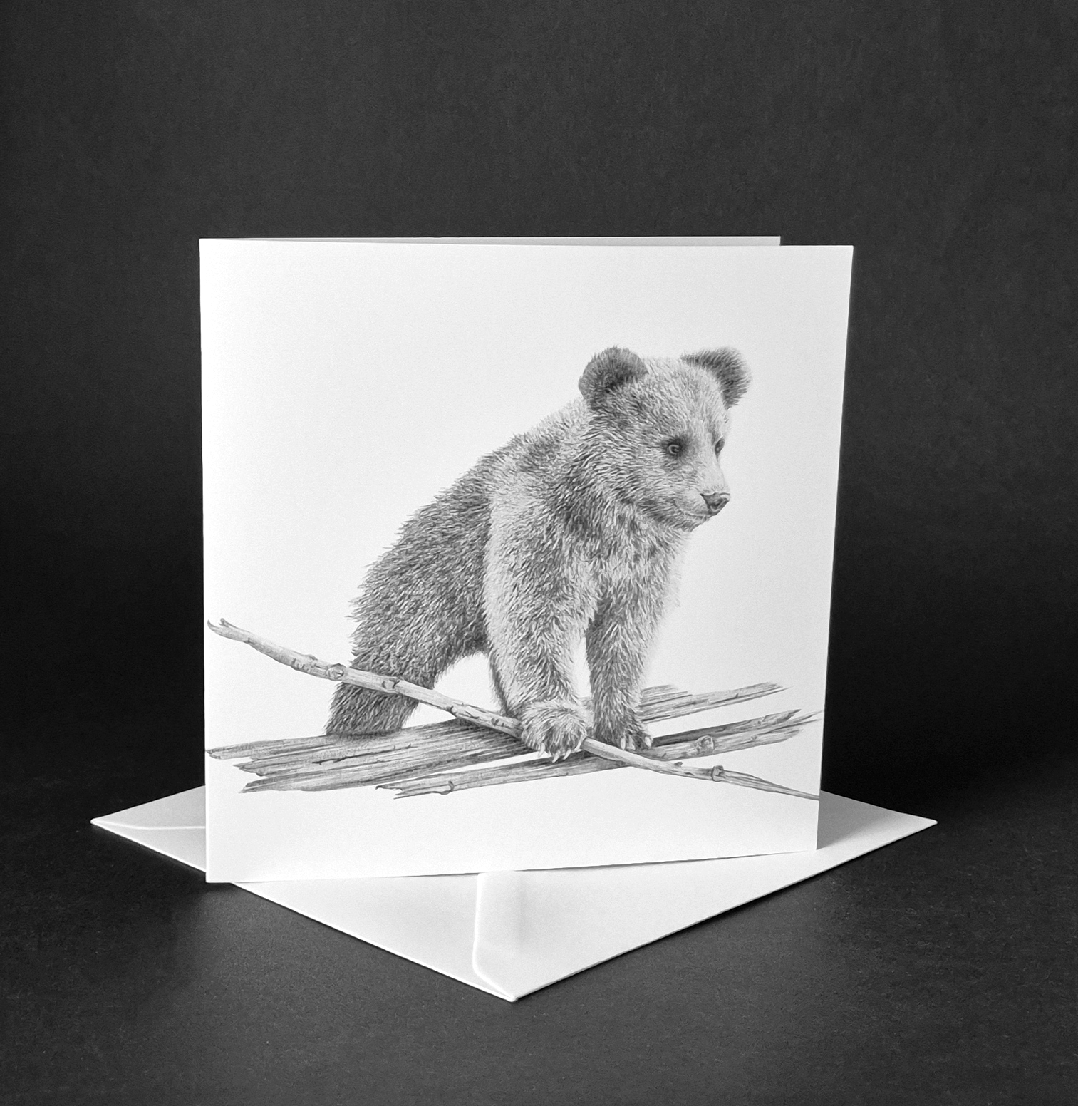 LITTLE BEAR