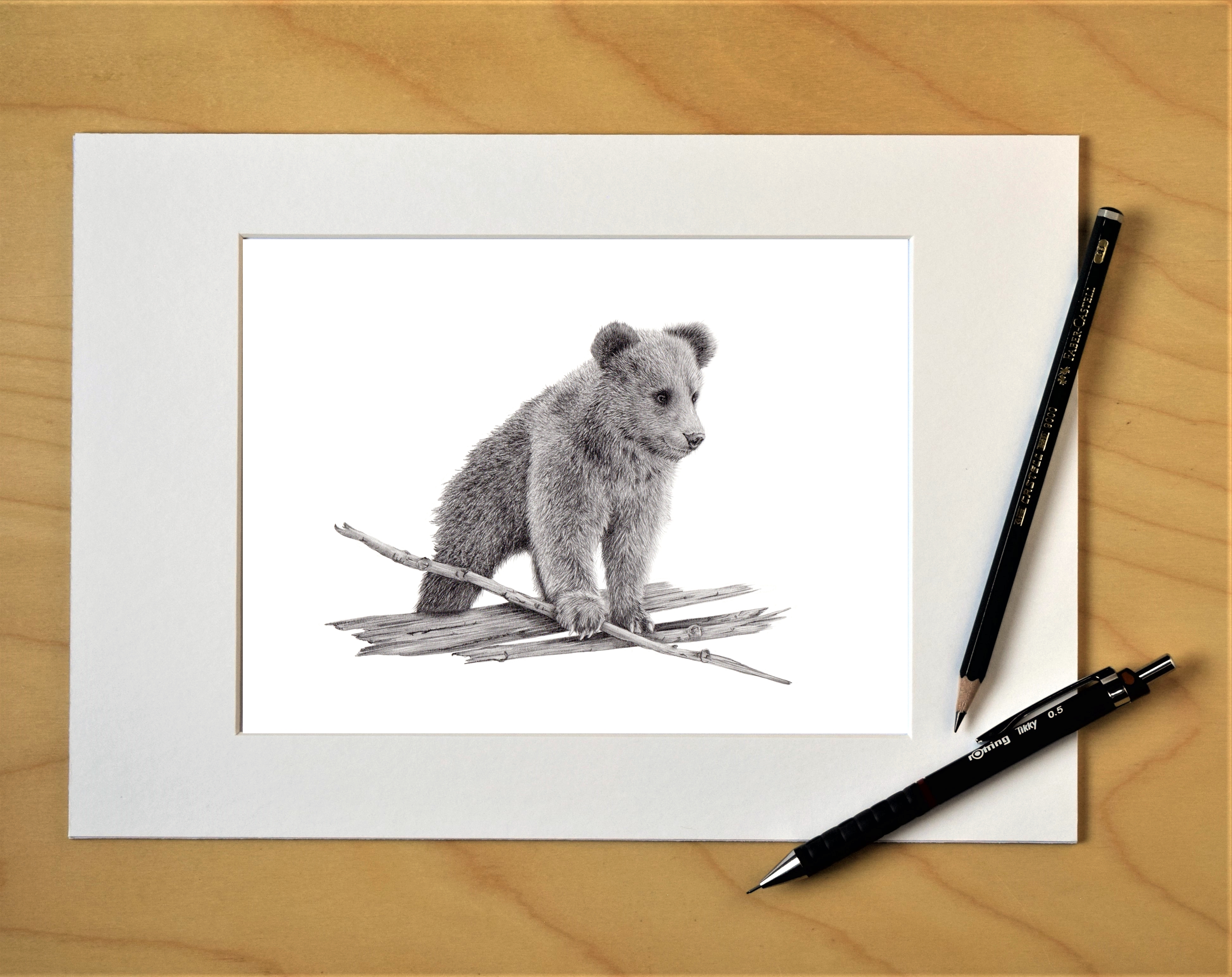 LITTLE BEAR