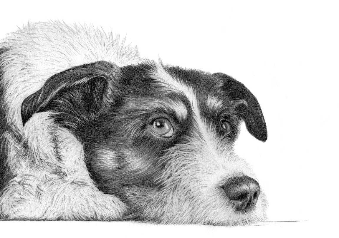 MUTTLEY