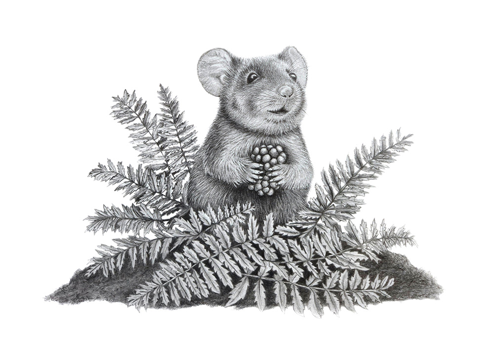 WHISKERS MOUSE