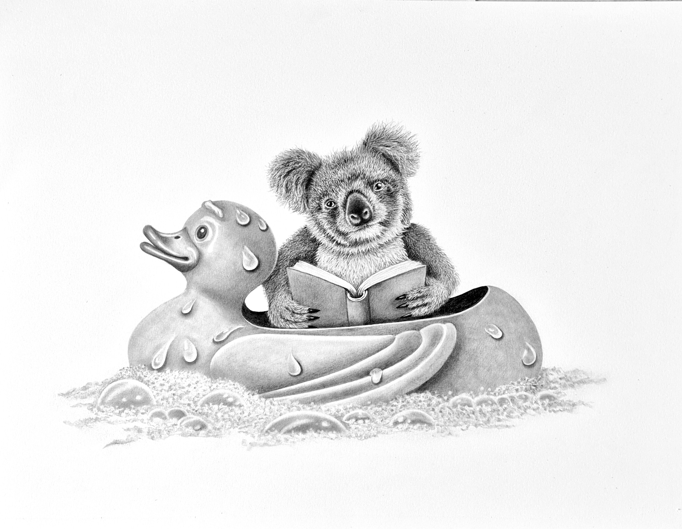 KOALA TIME