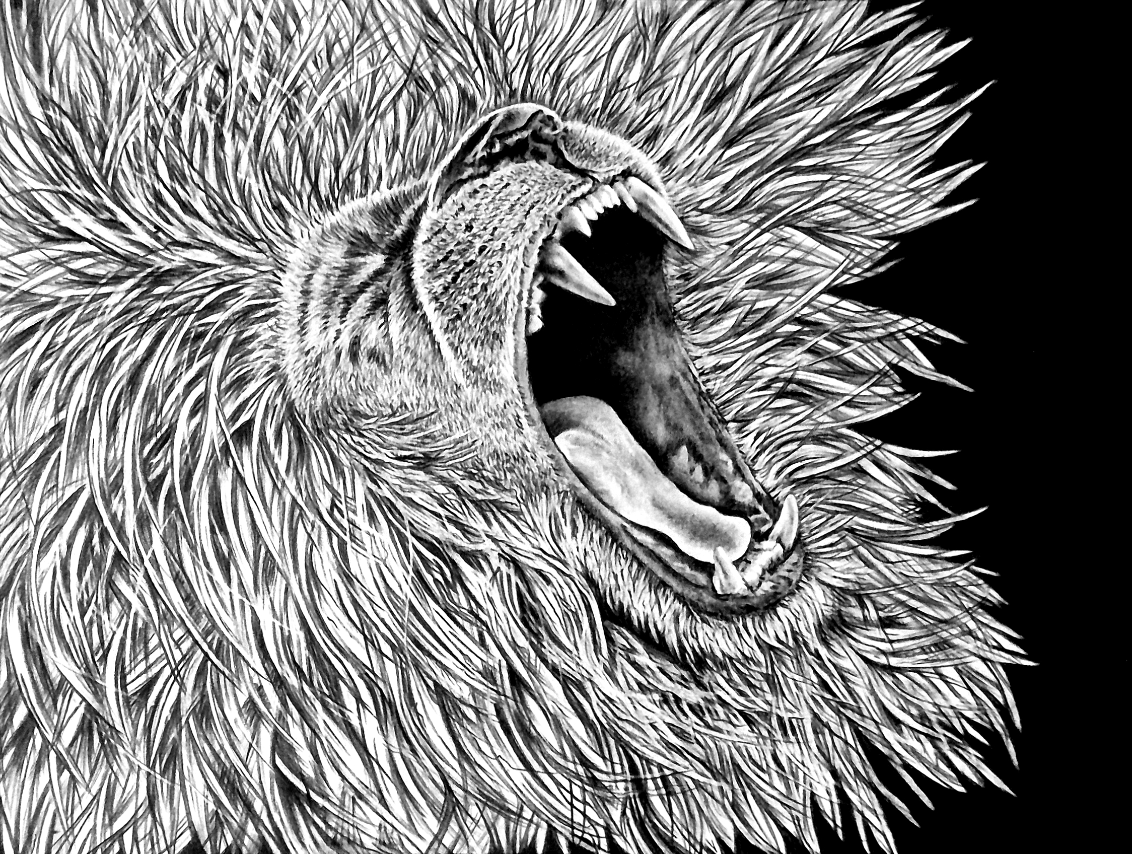 FRUSTRATION