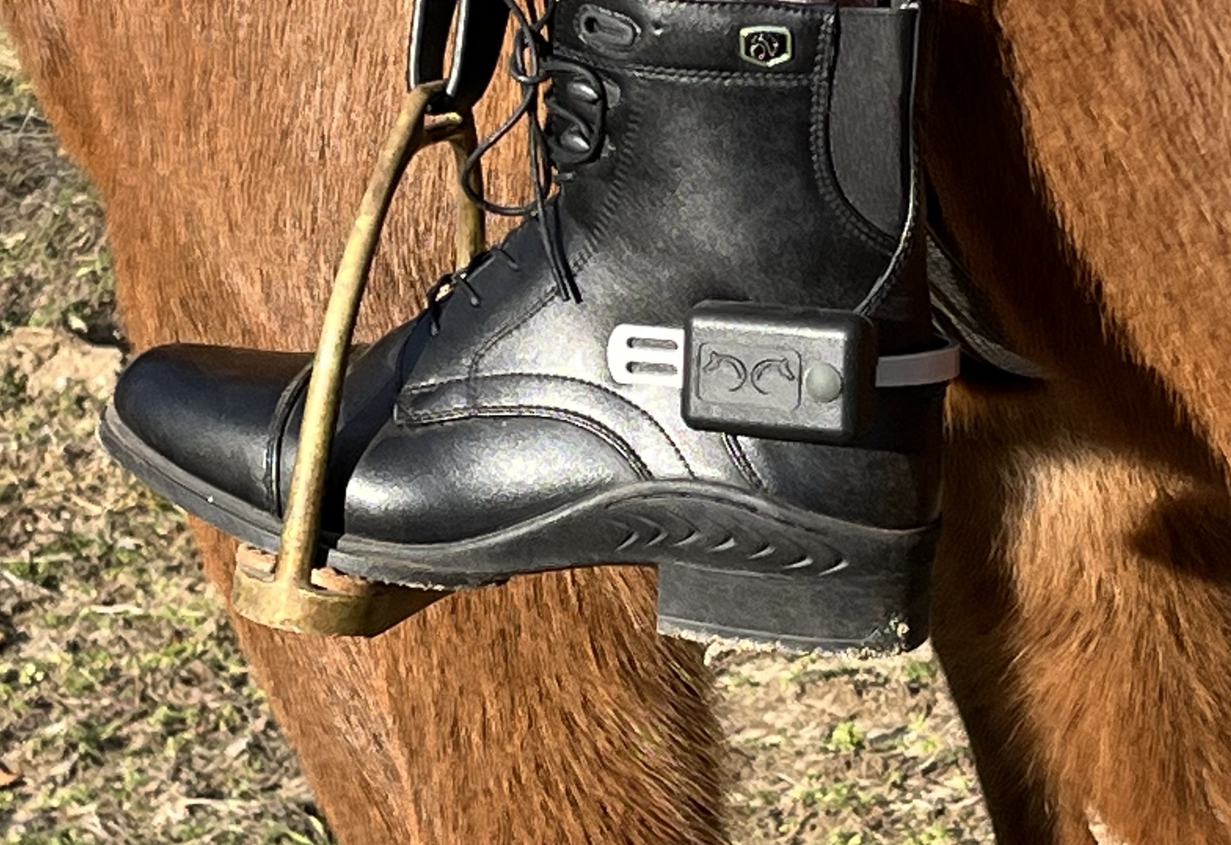 LevelTeq Electronic Heel Trainer - MUST HAVE TRAINING AID!