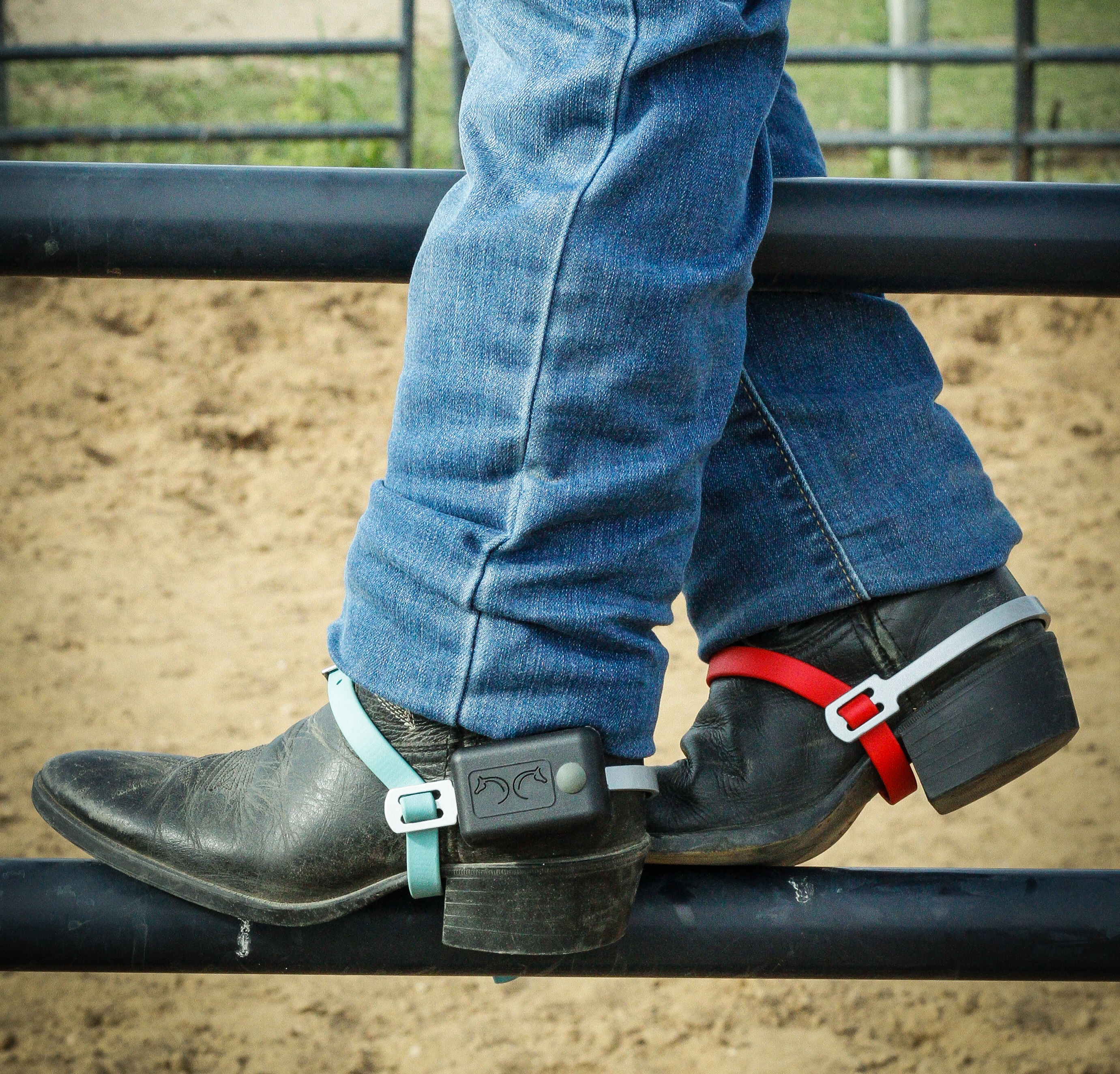 LevelTeq Electronic Heel Trainer - MUST HAVE TRAINING AID!