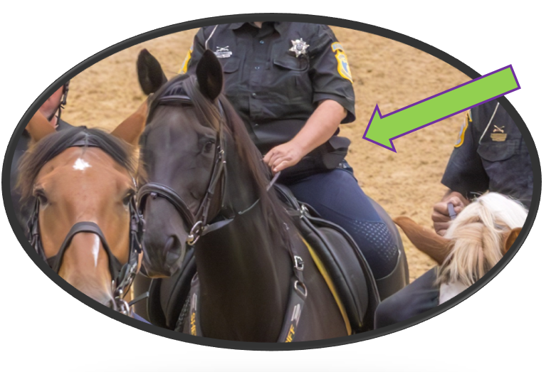 TackSnacks Horse Treat Bags