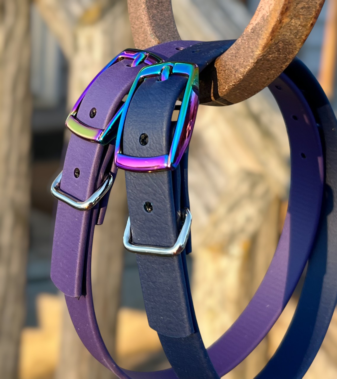 RAINBOW Buckle English Spur Straps - WIDE
