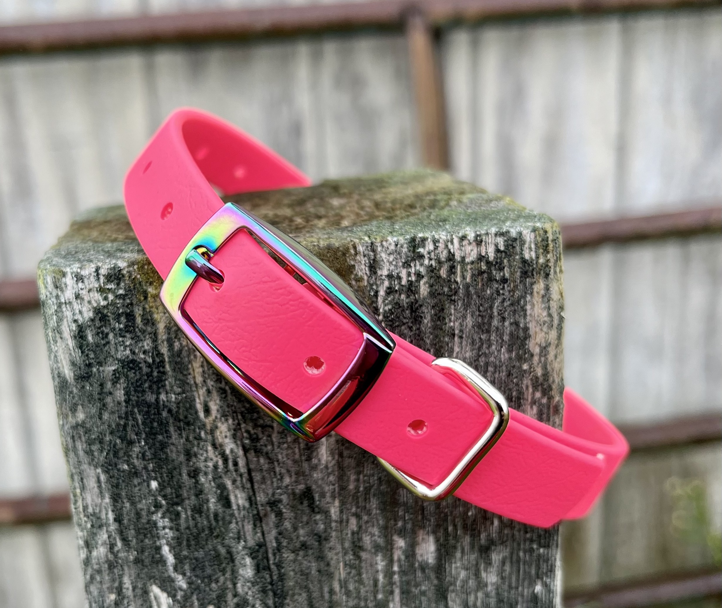 RAINBOW Buckle English Spur Straps - WIDE