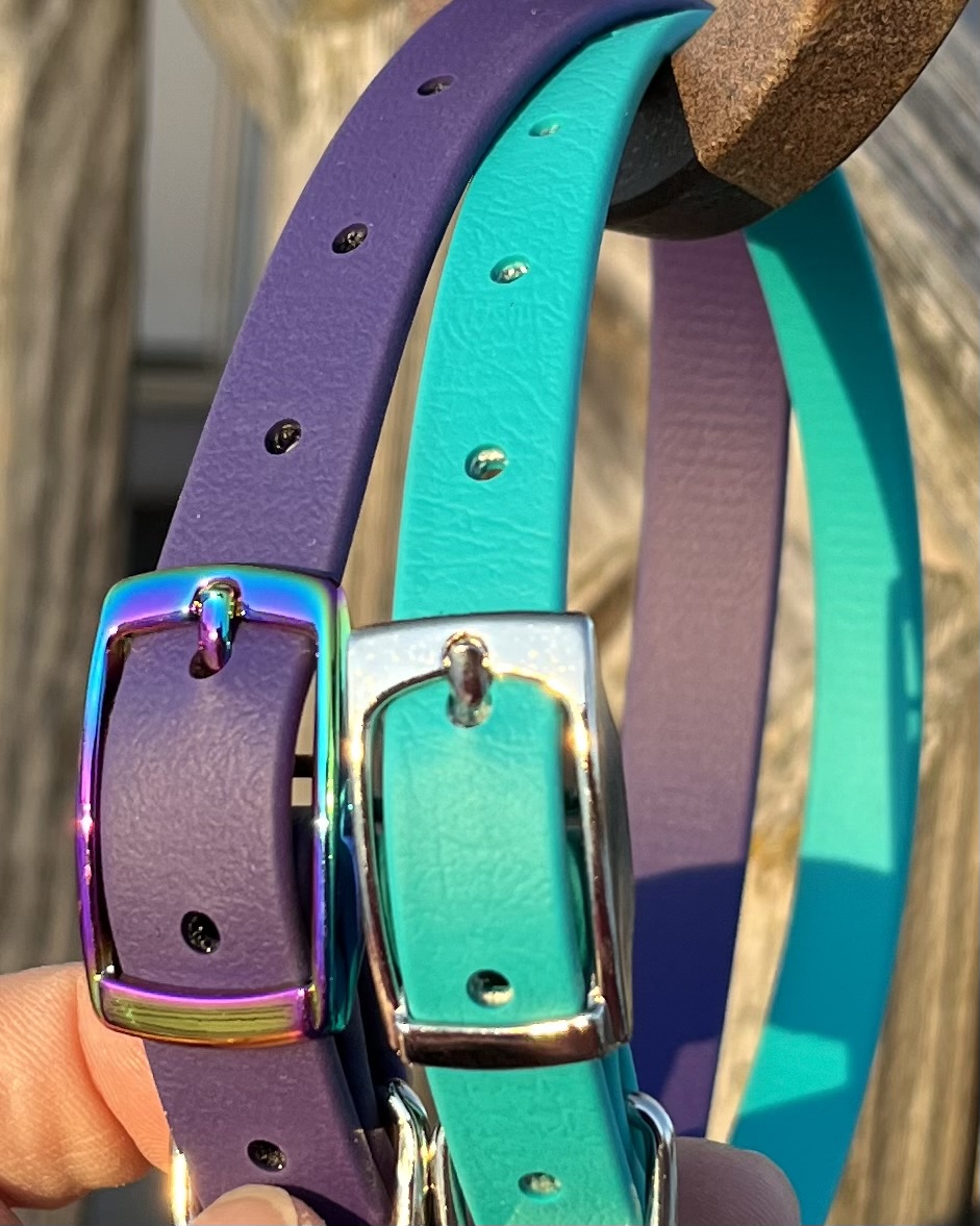RAINBOW Buckle English Spur Straps - WIDE
