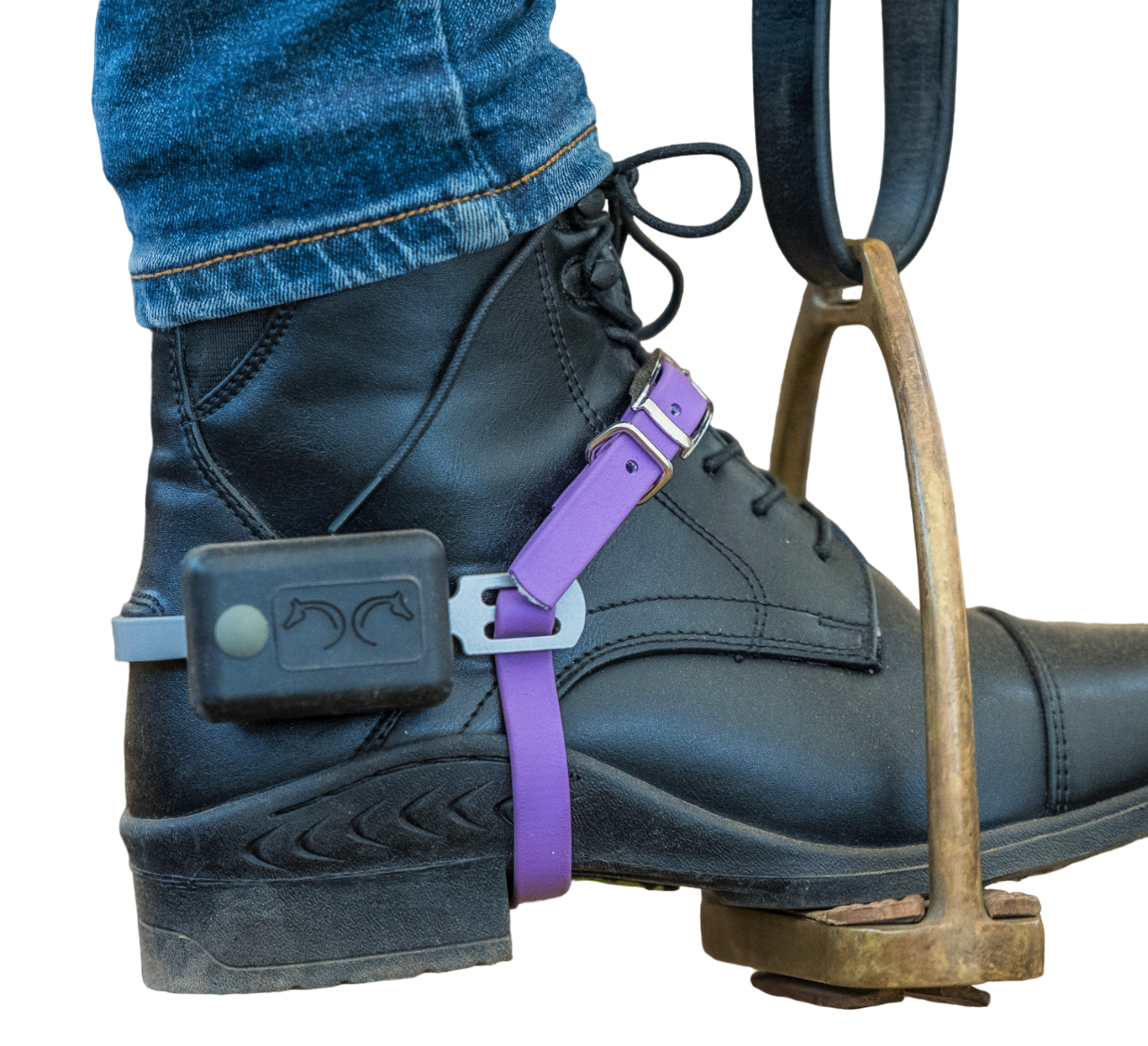 Spare Parts - Trainer Lid