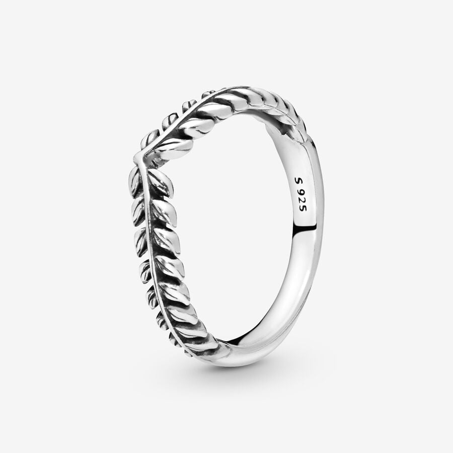  Anillo deseo animado