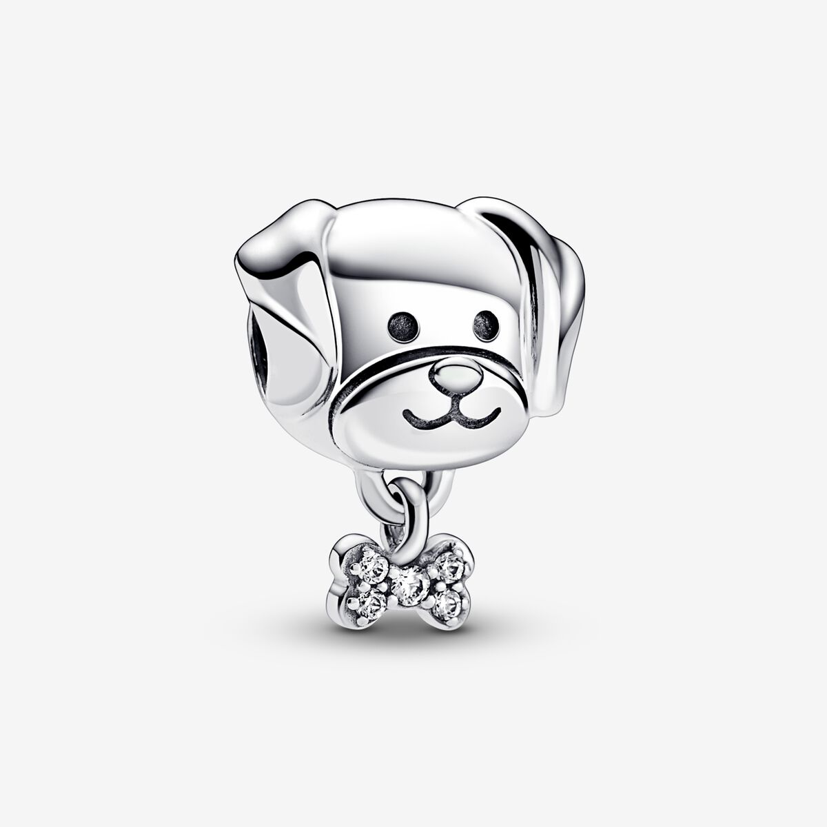Charm de perro y hueso