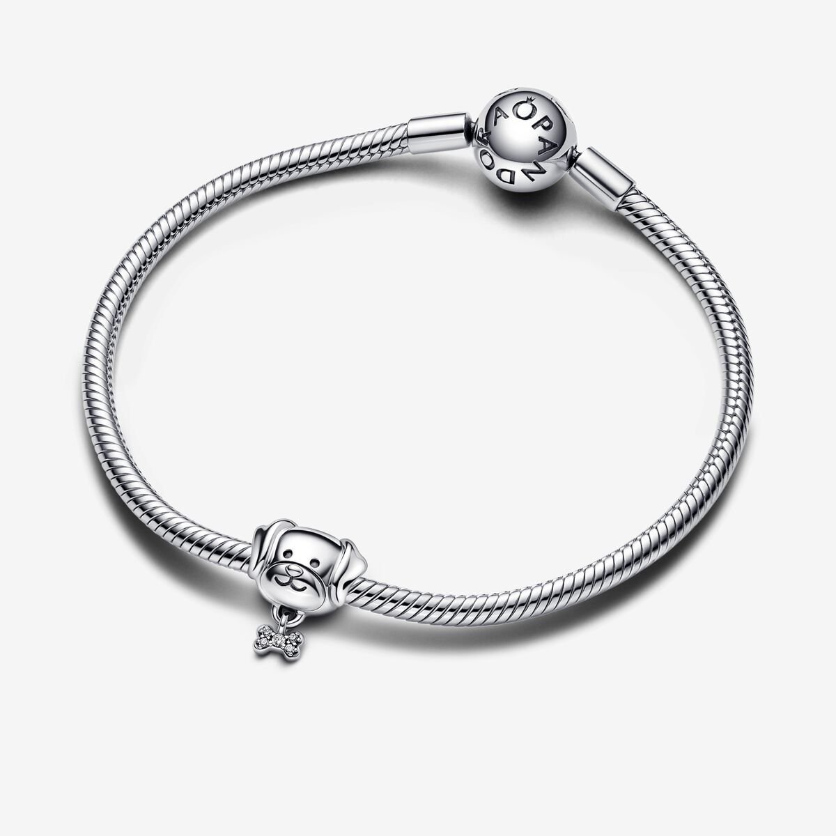 Charm de perro y hueso