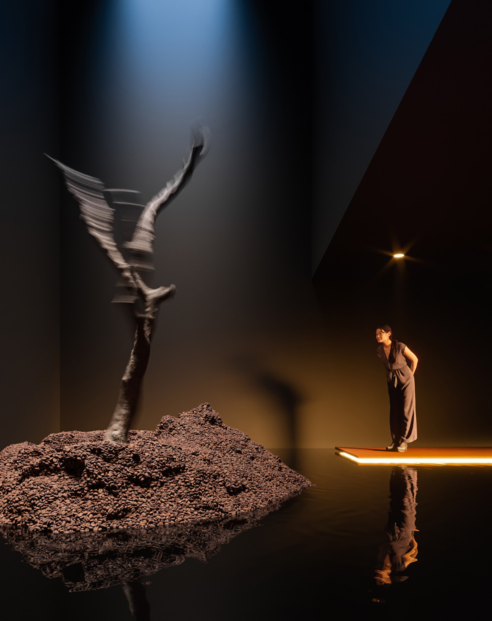 CENOGRAFIA EXPANDIDA