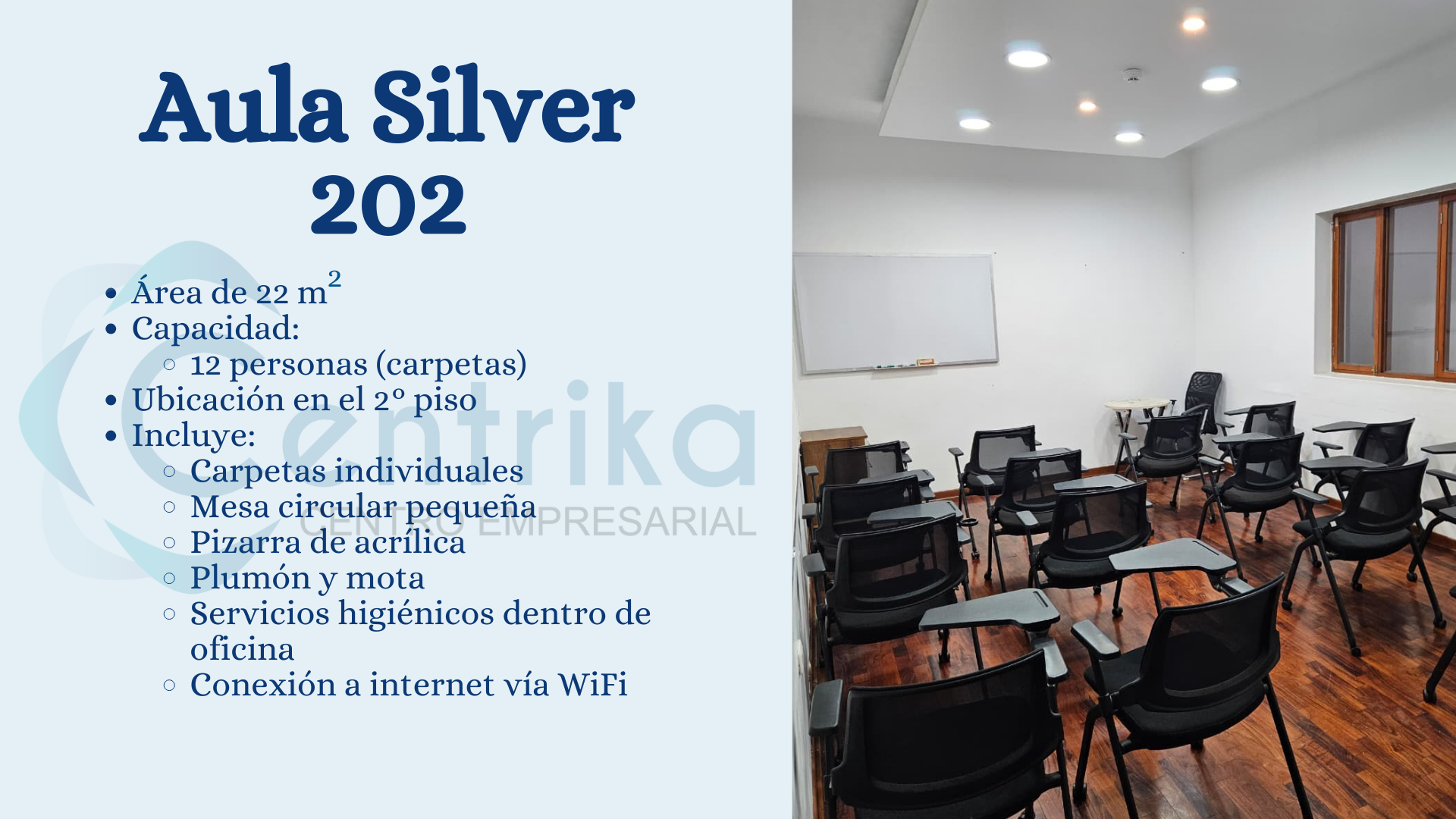 AULA SILVER