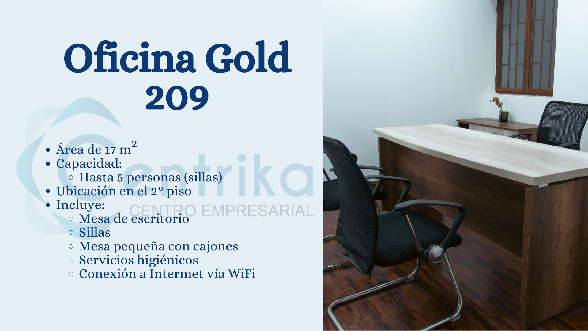 OFICINA GOLD
