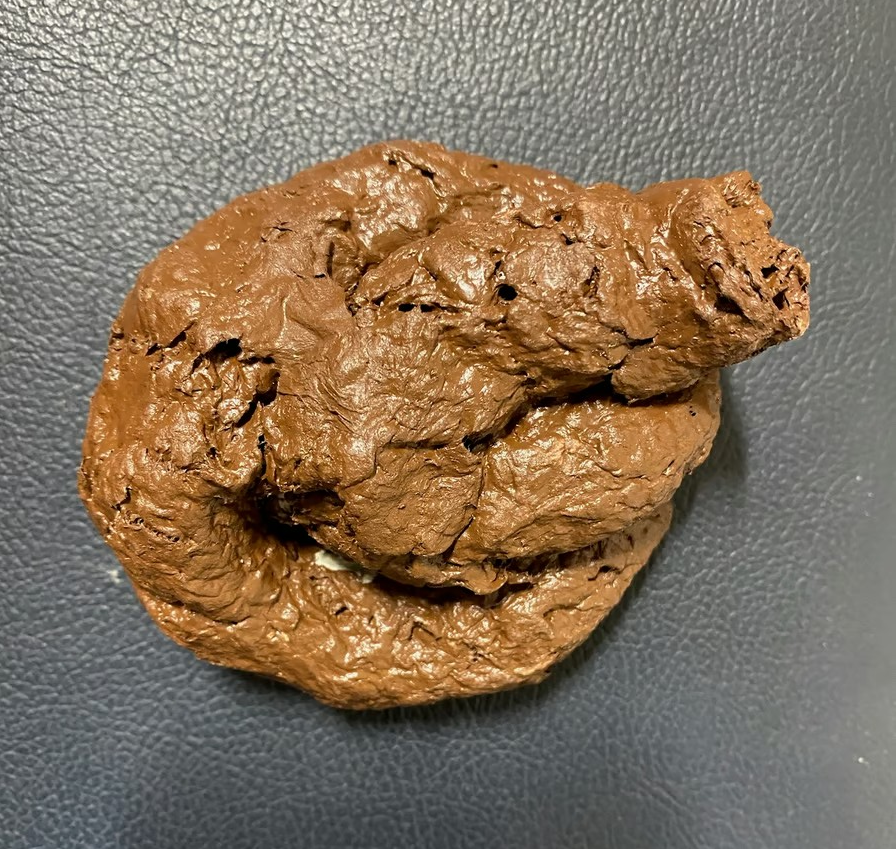 Fake Dog Poop