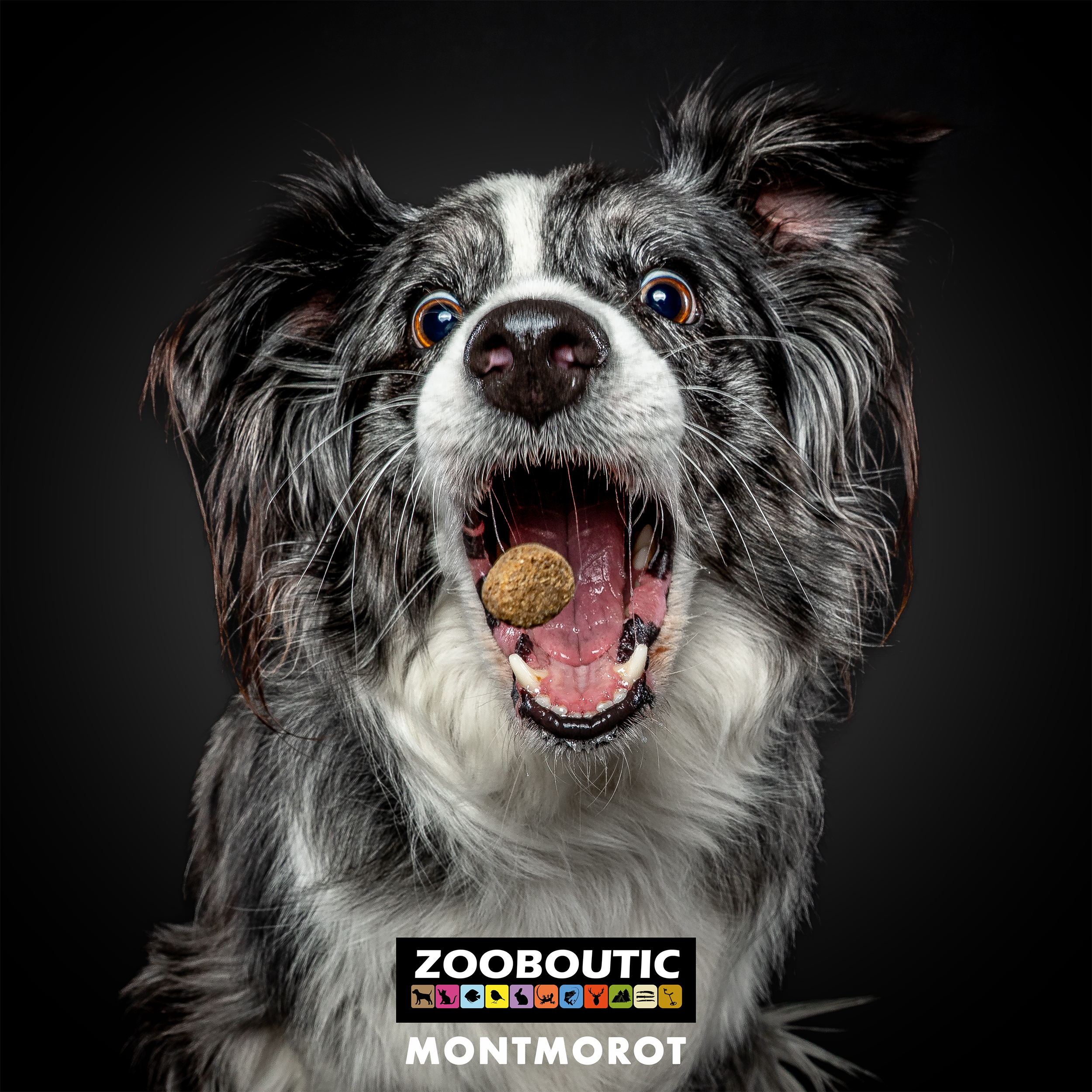 ZOOBOUTIC samedi 15 novembre 2025