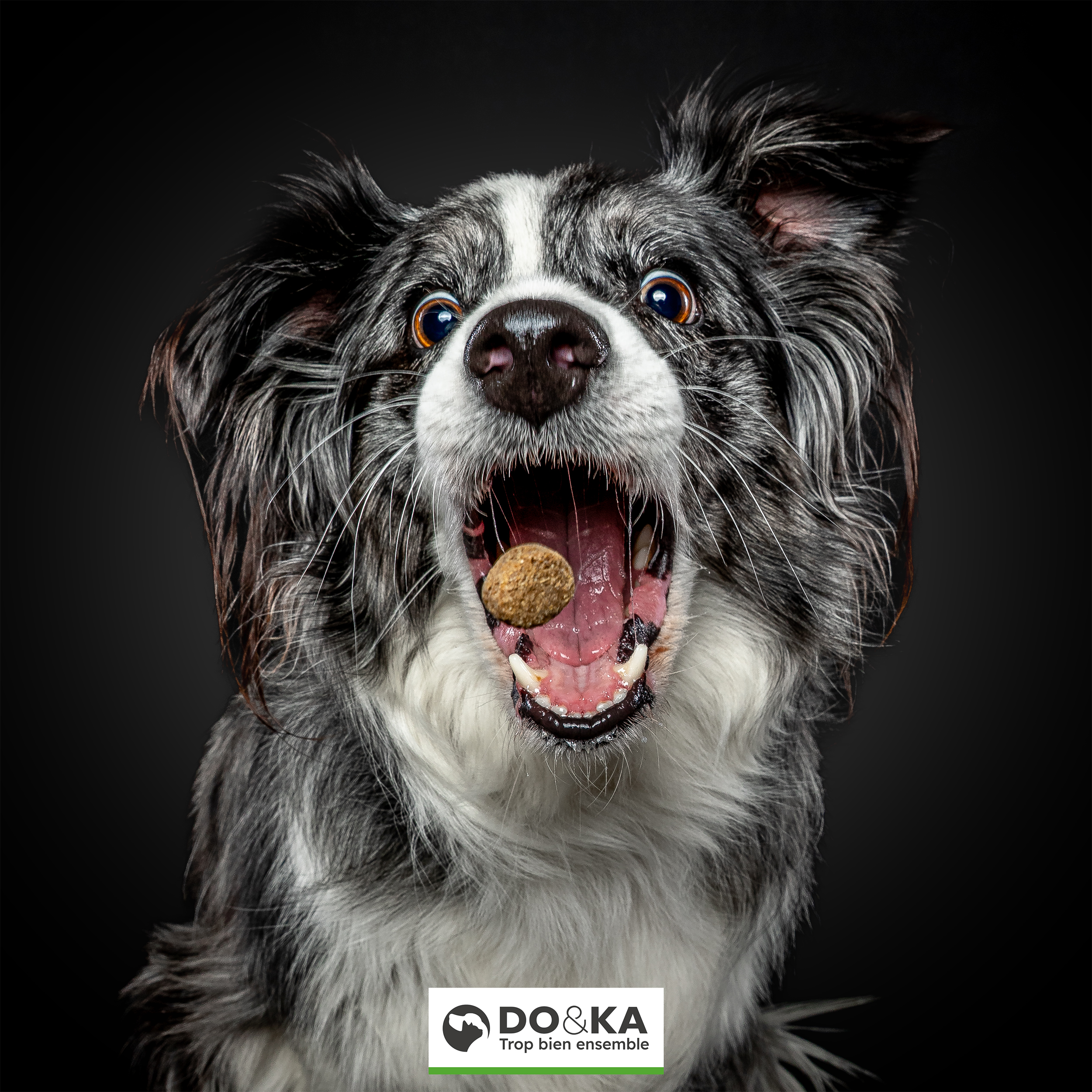 DO&KA Samedi 6 décembre 2025