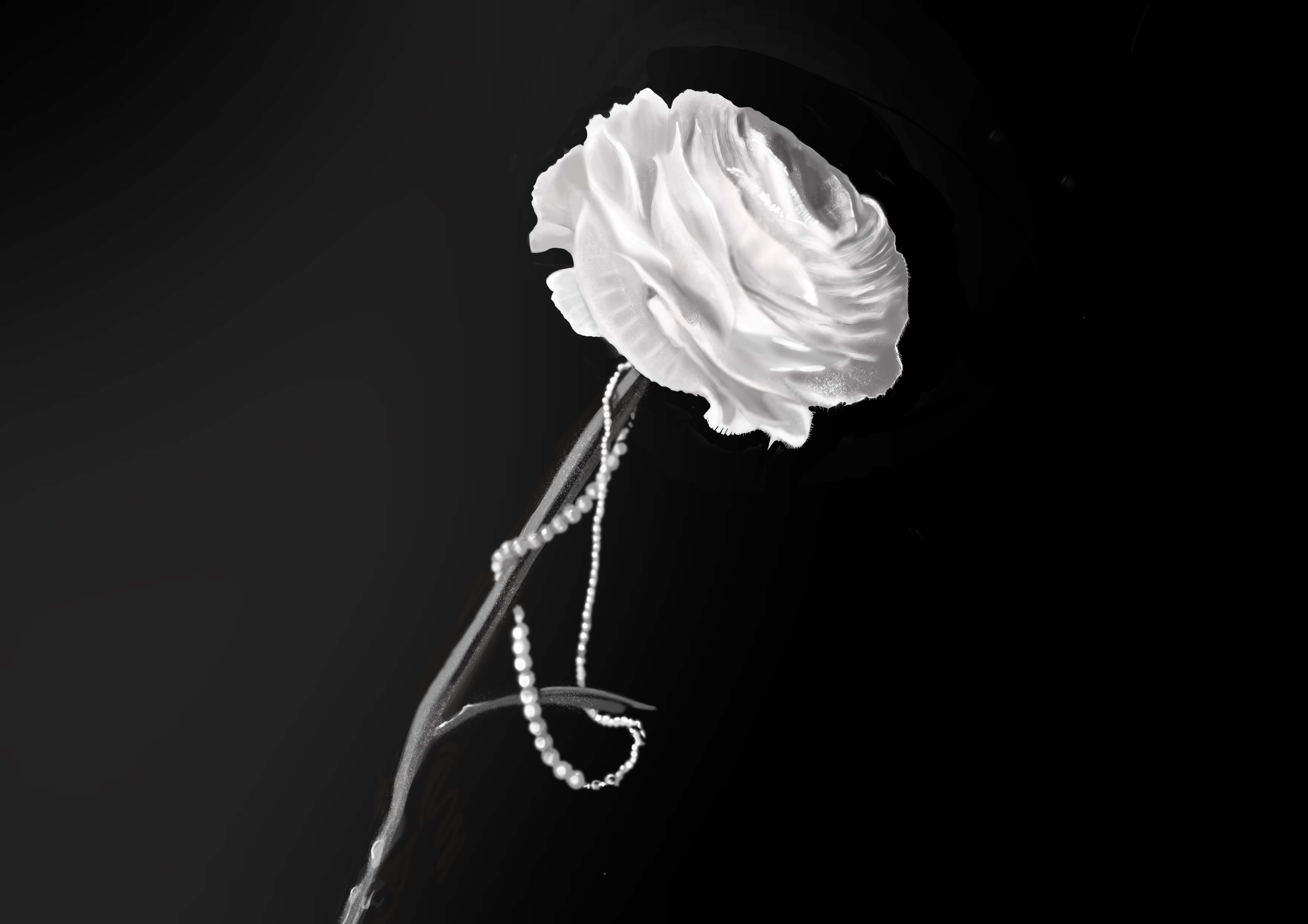 Ilustración. White Camellia