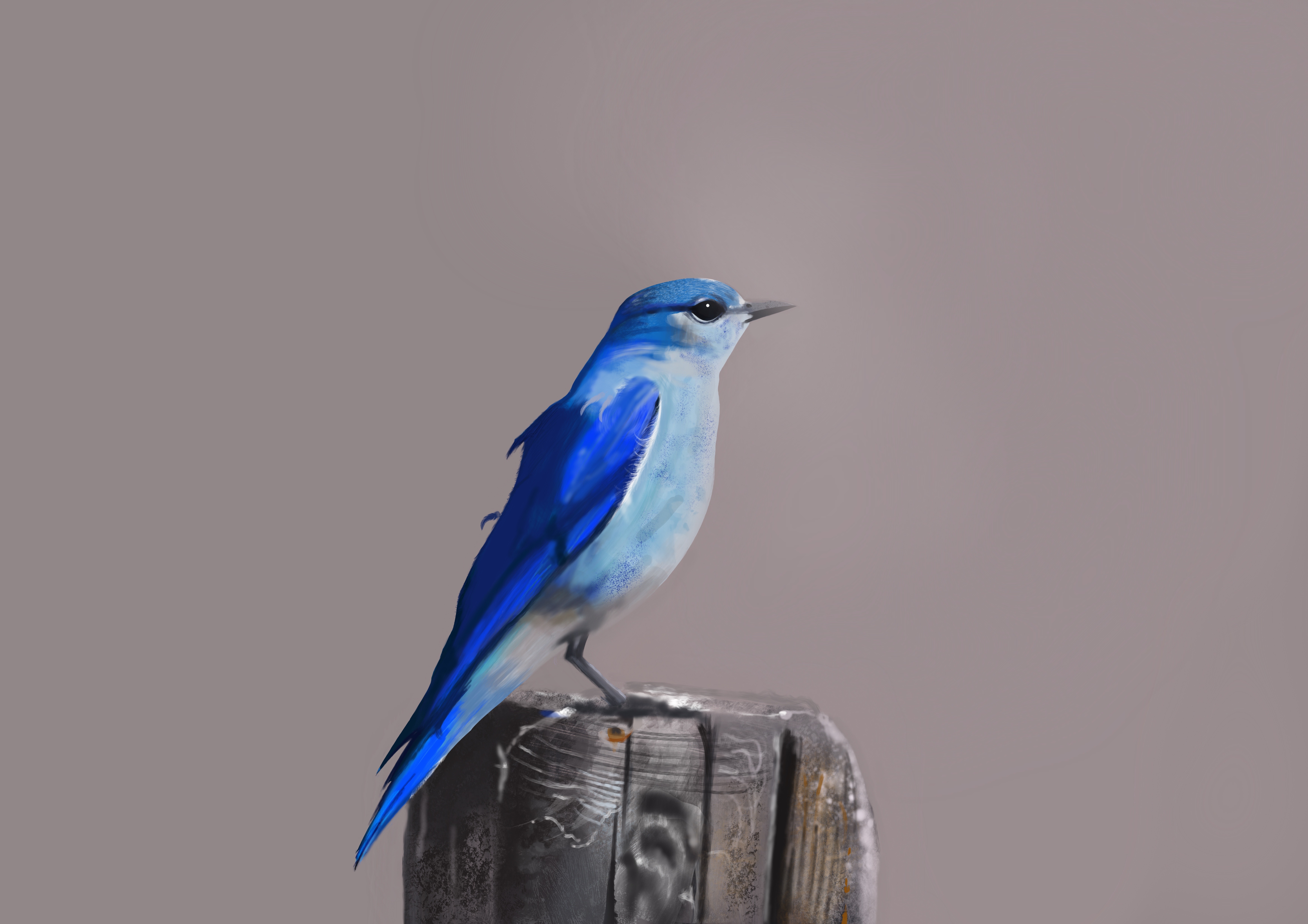 Ilustración. Blue Bird