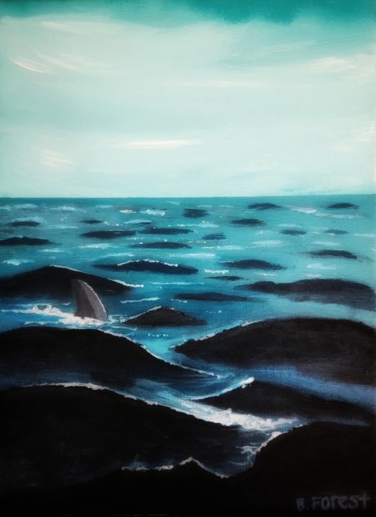 Shark in the Water, Our Shark