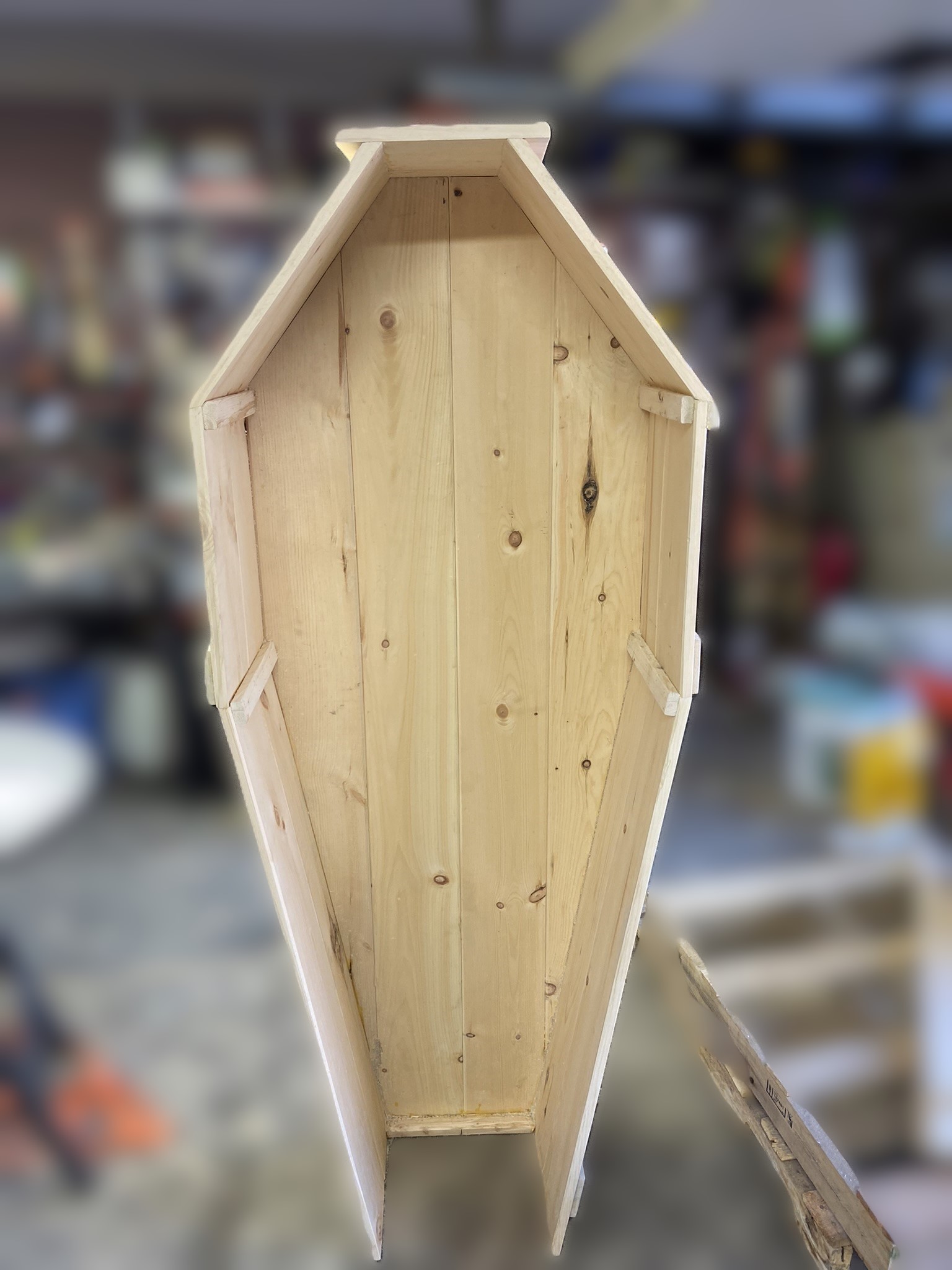 Large Coffin Bookcase Shelf unit