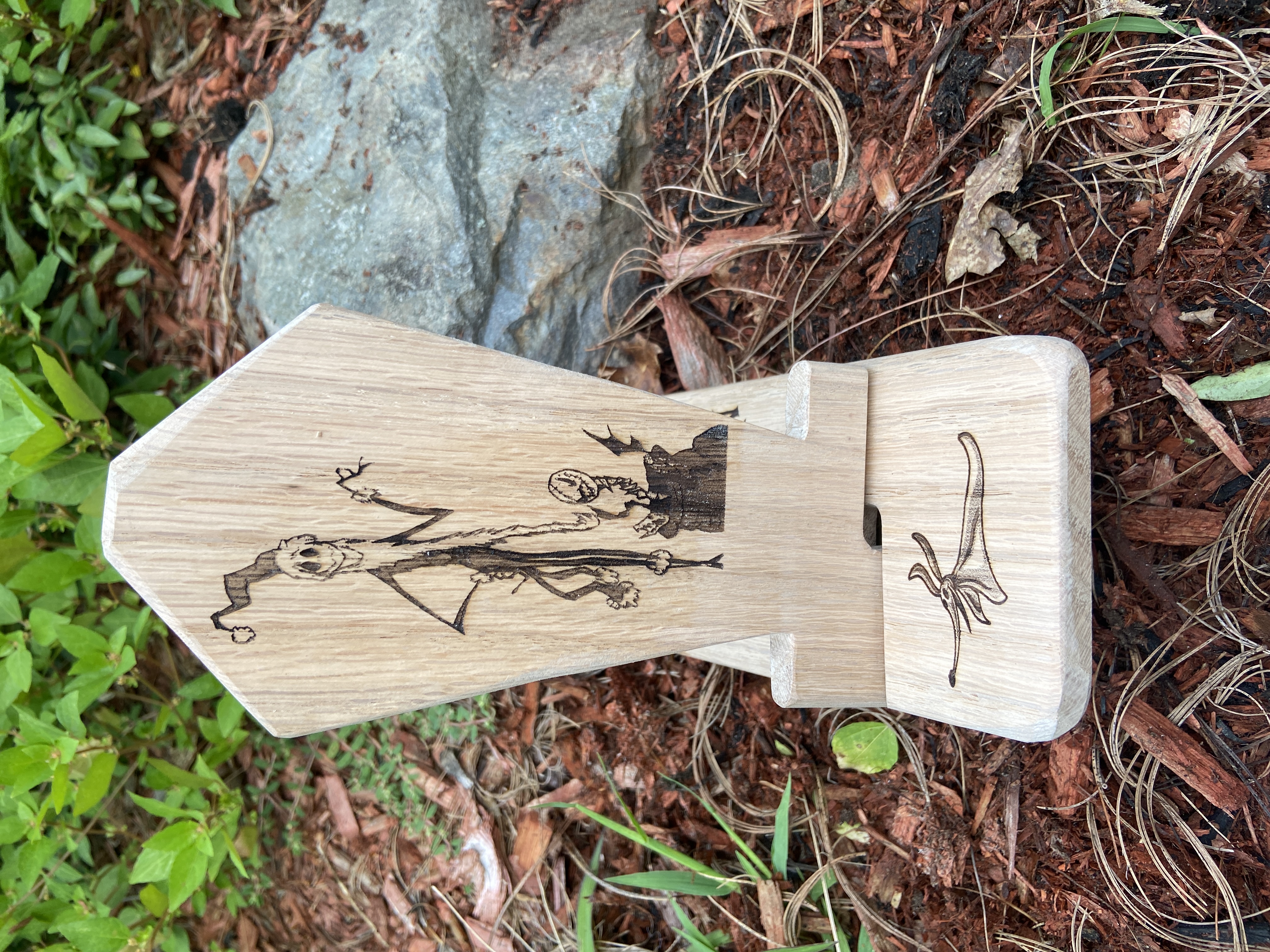 Dual display Cell phone iPad holder