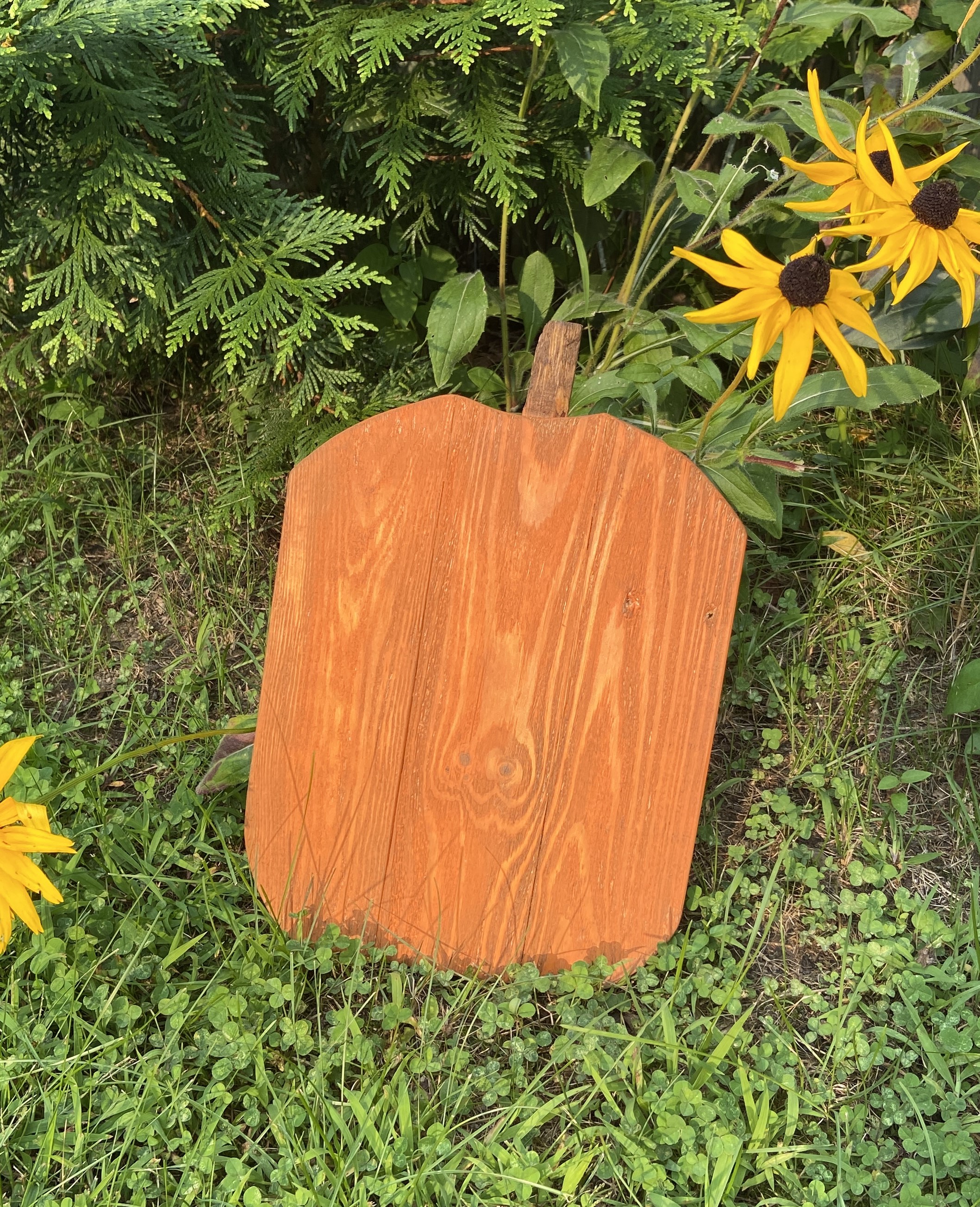 Simplistic Rustic Halloween Pumkin