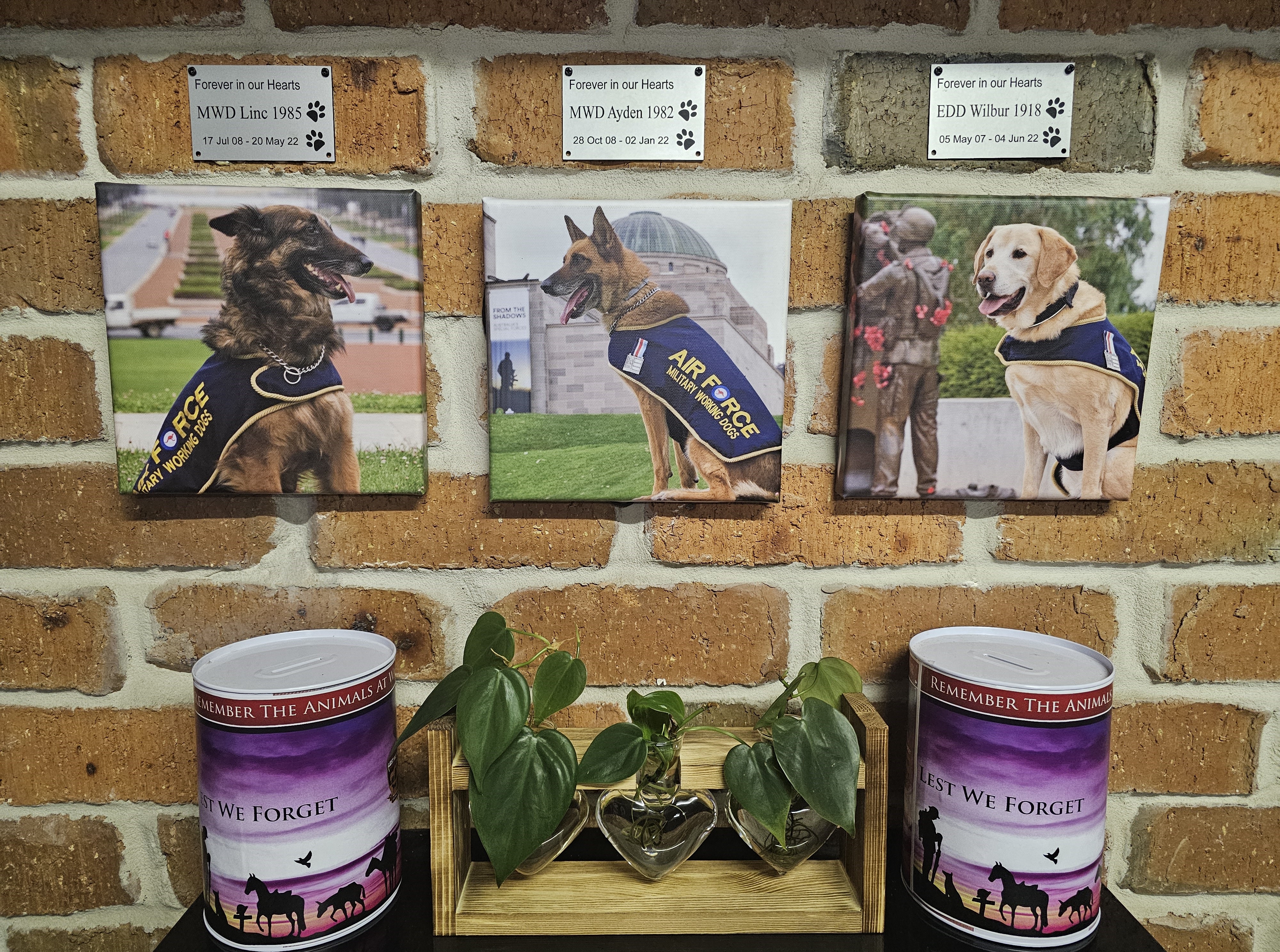 LAW K9 GYM Gift Certificate Package