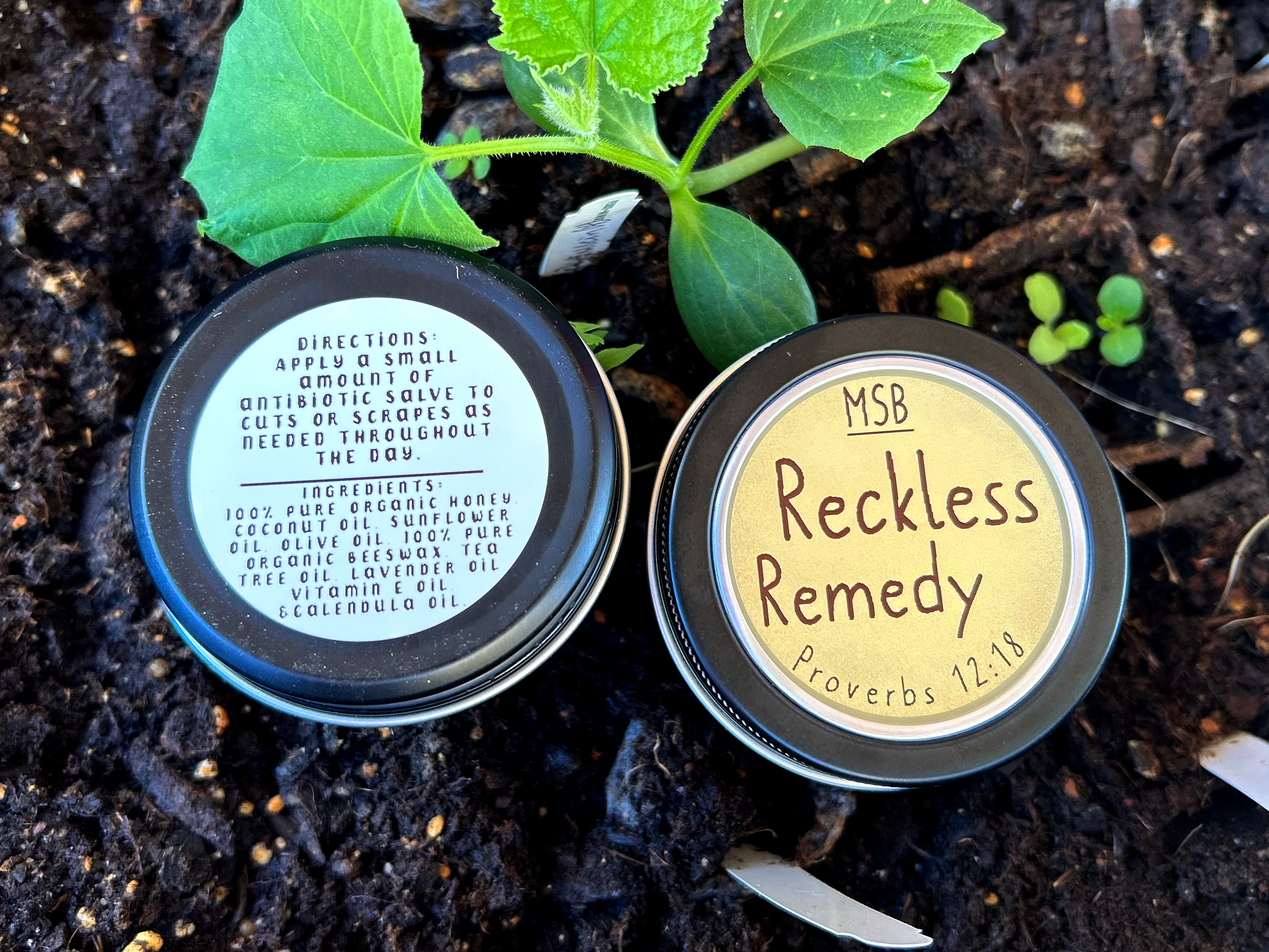 Reckless Remedy (Antibiotic ointment-Similar to Neosporin without the toxic chemicals)