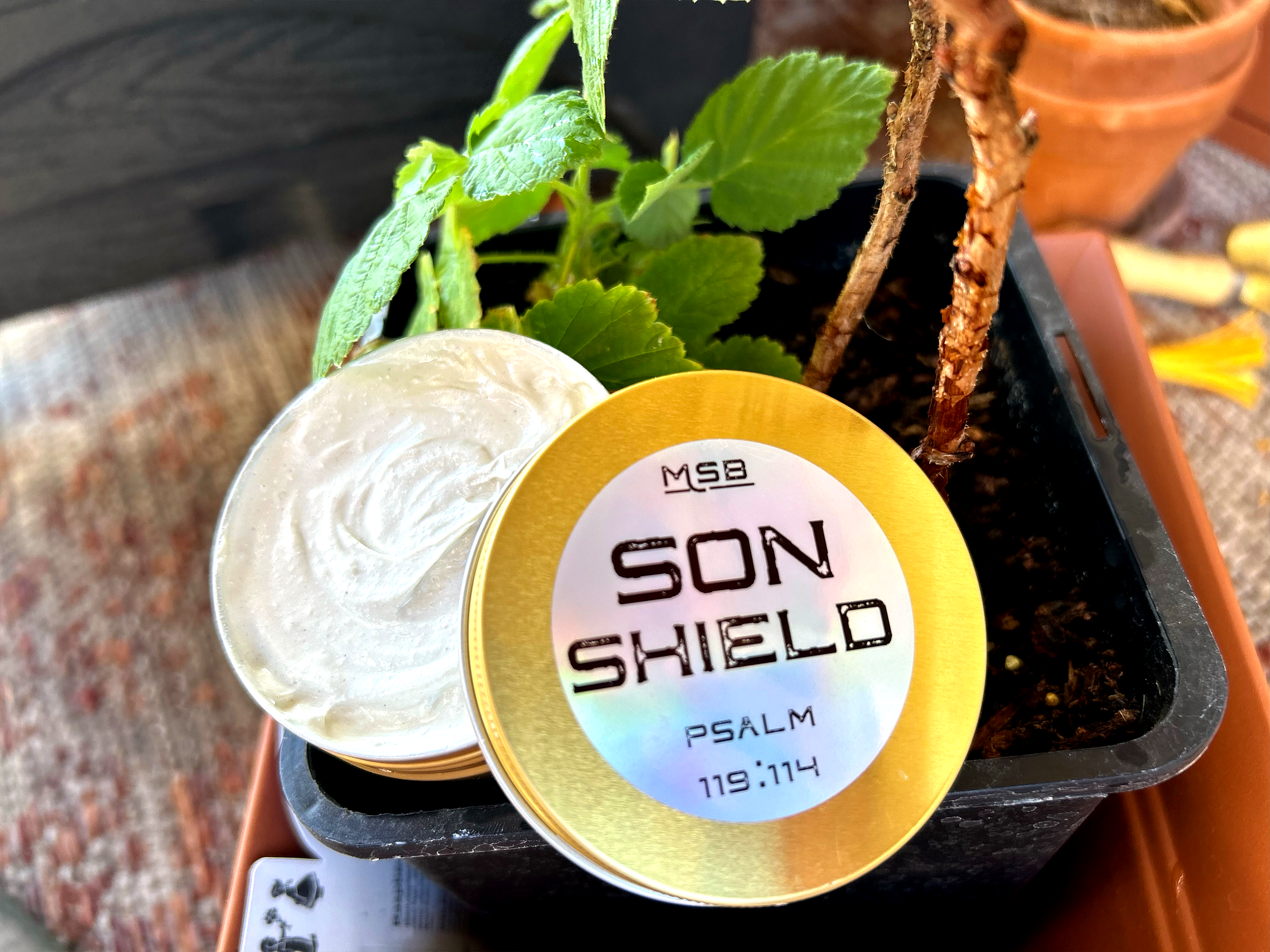 Son Shield (Sunscreen)